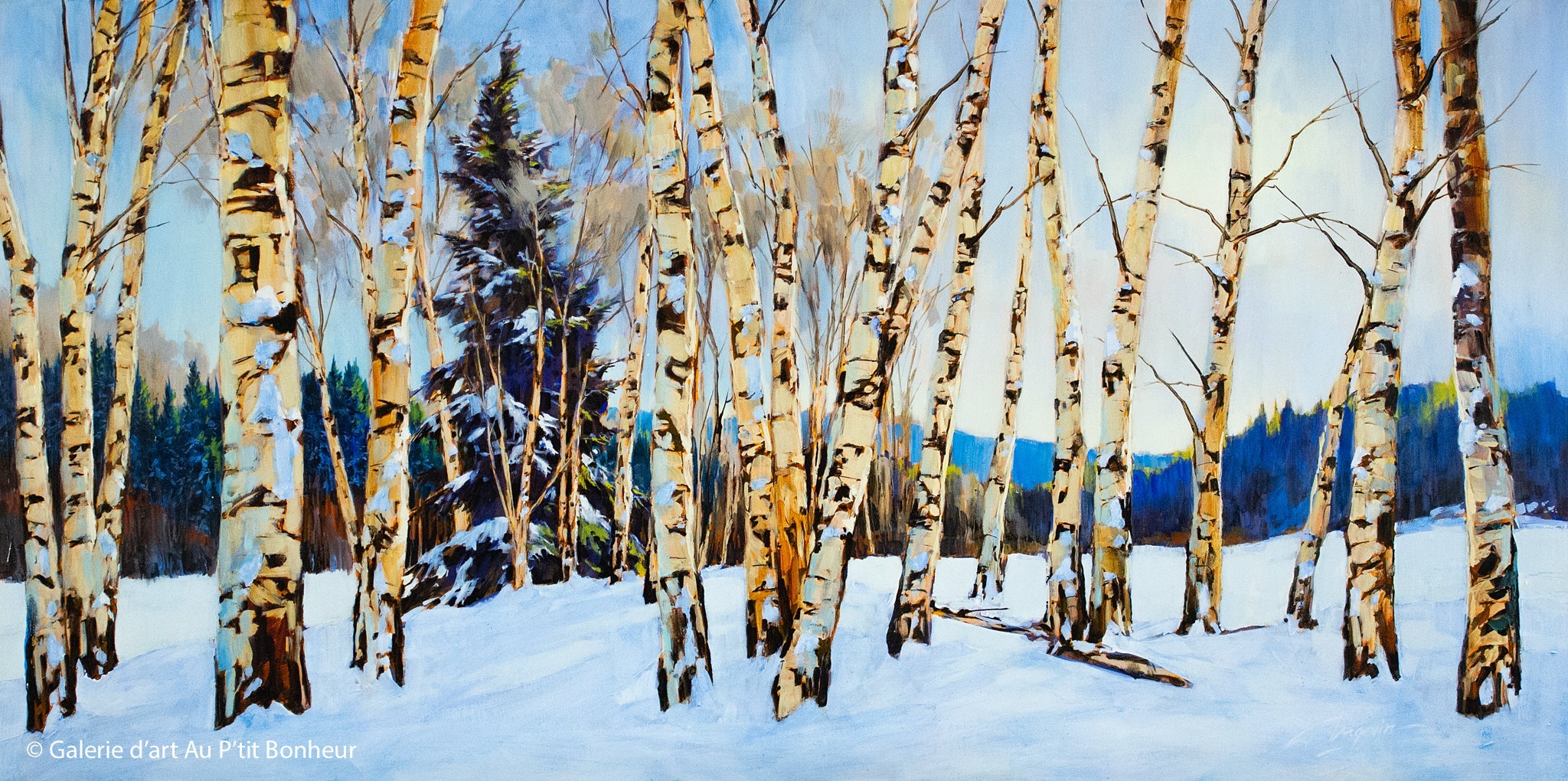 David Langevin, artiste peintre | Oeuvres disponibles  | Galerie d'art Au P'tit Bonheur