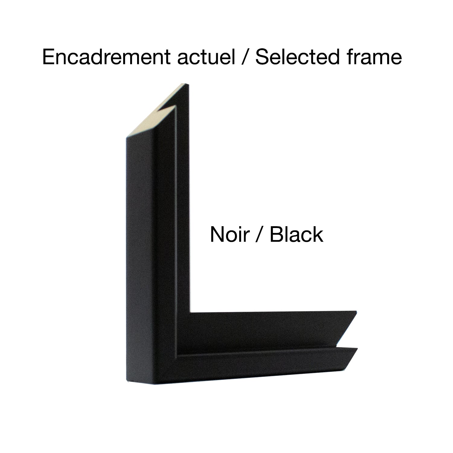 Marie-Claude Boucher | Jardin en juillet 