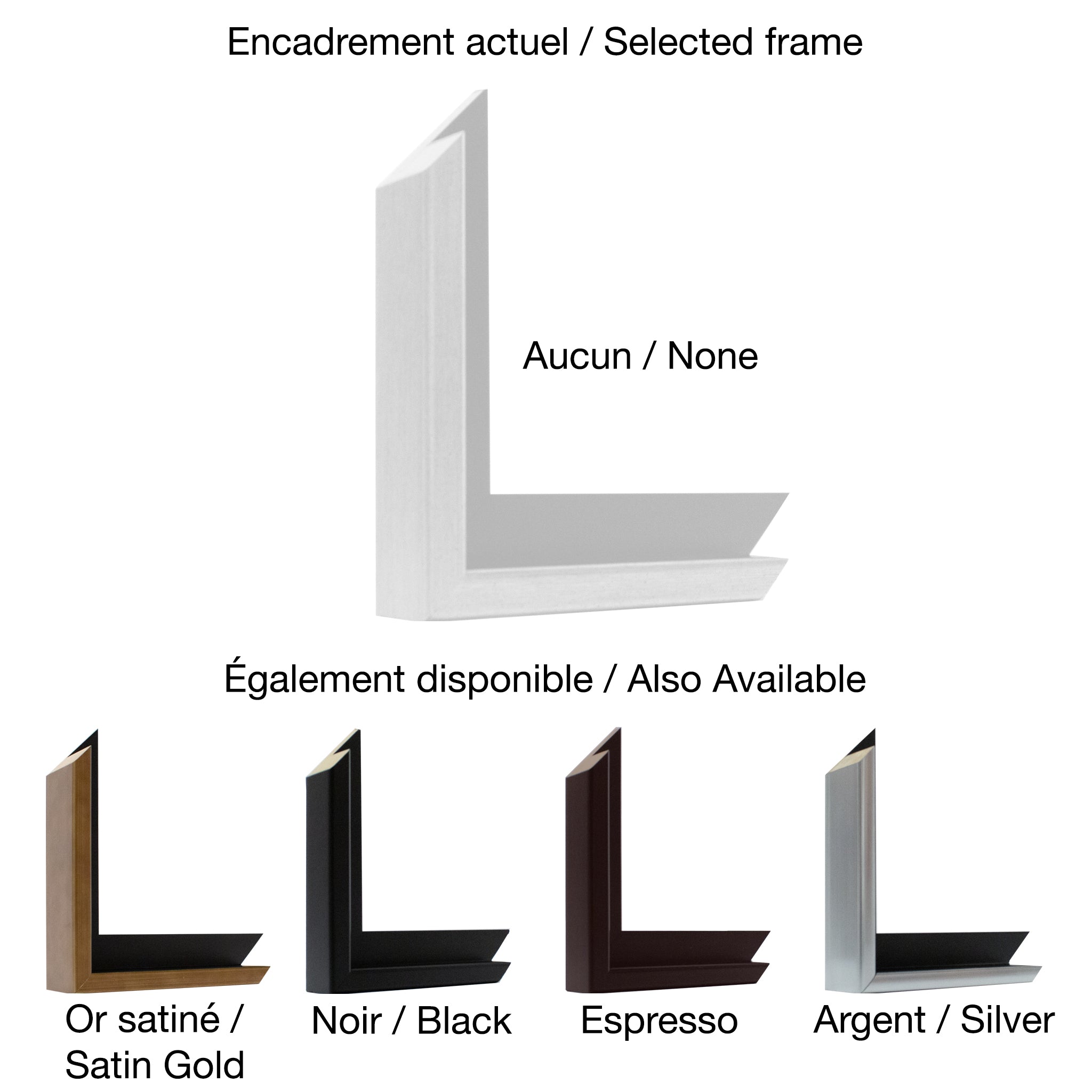 Dennis Magnusson | Red Day Lily 3 (2013)