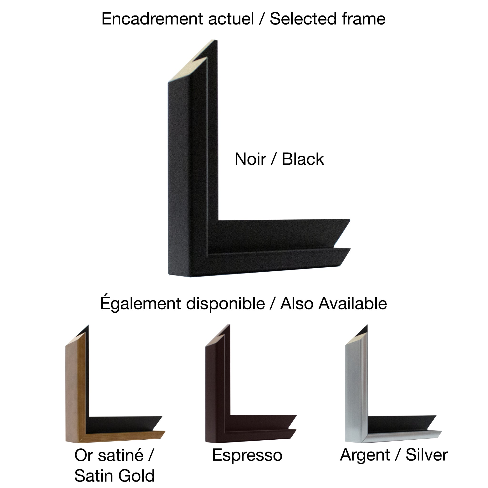 David Langevin | Out in Frond
