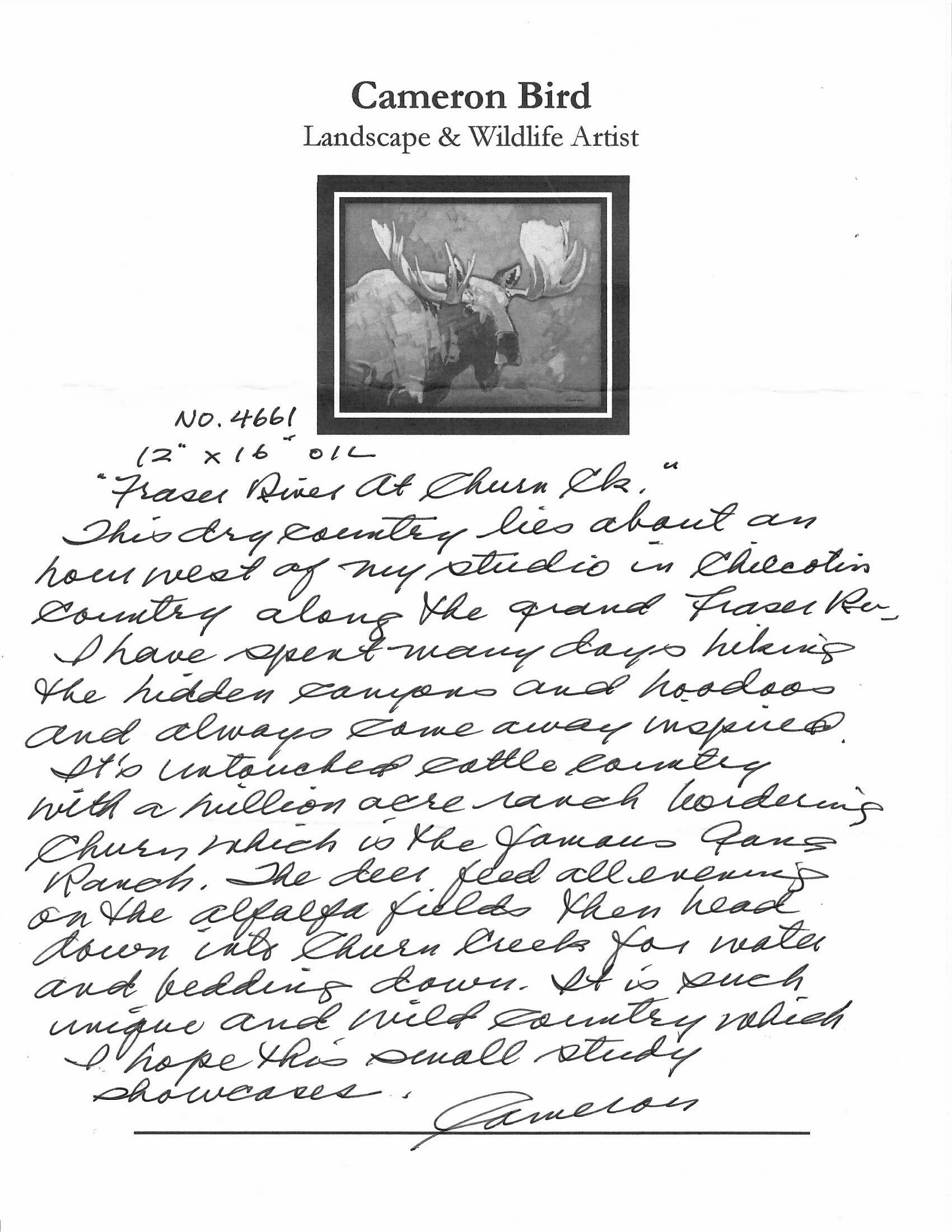 Cameron Bird | Fraser River At Churn Creek