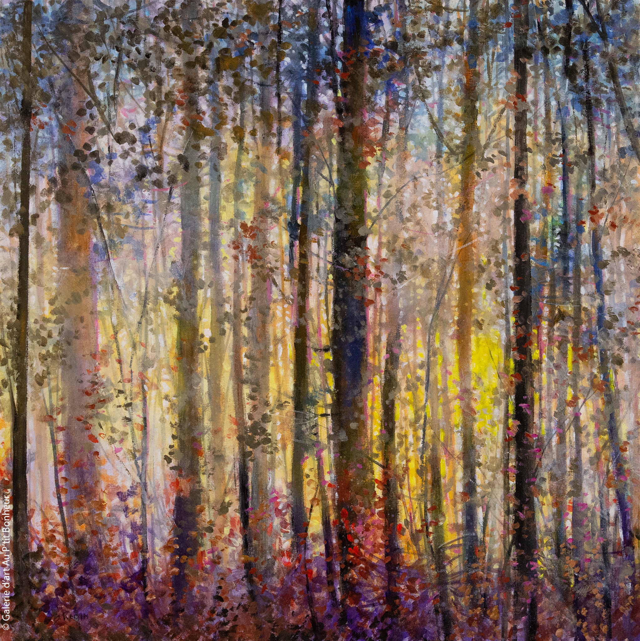 Bev Rodin | Forest Light Series: Warm Delicate Dawn