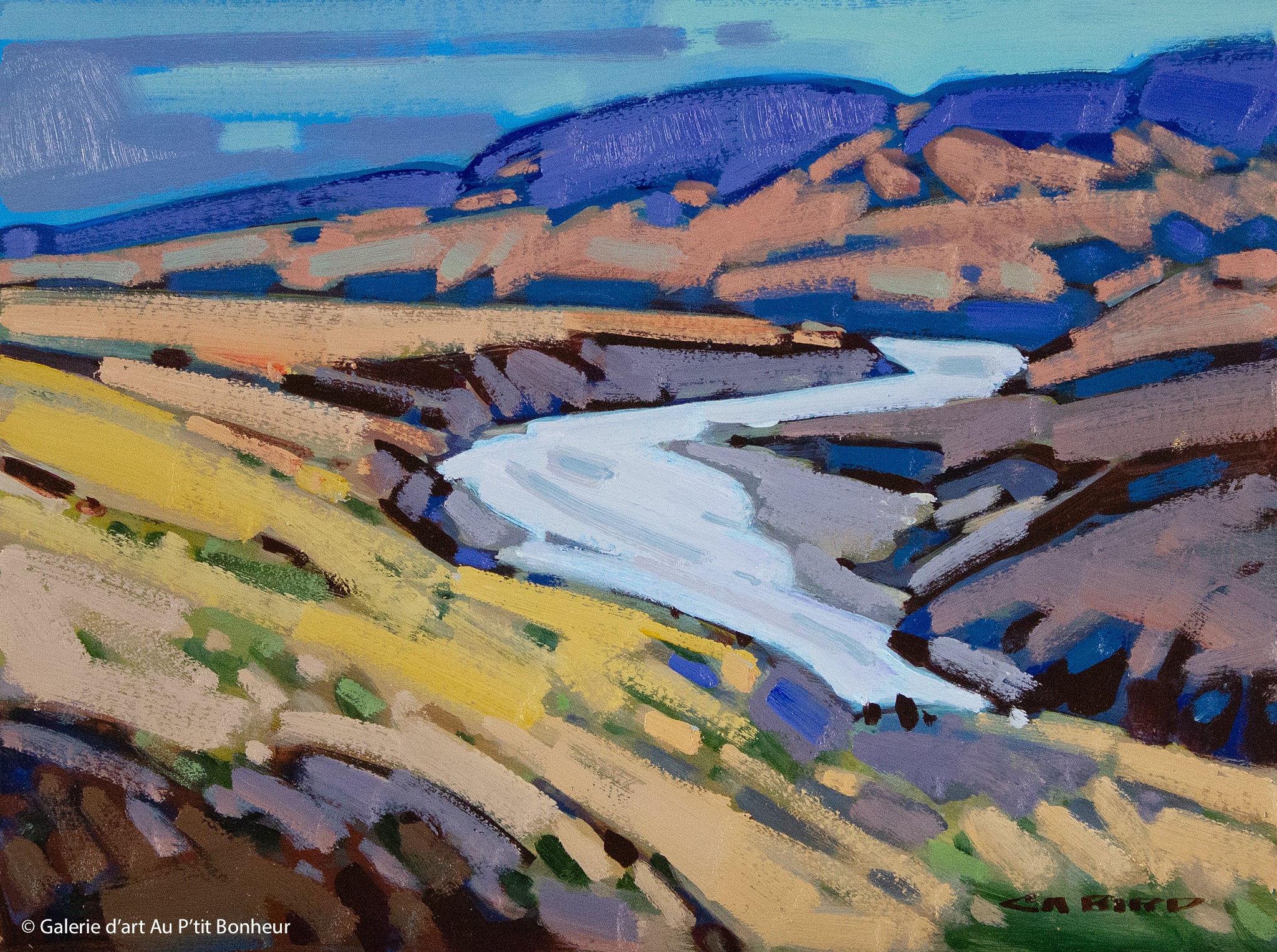 Cameron Bird | Fraser River At Churn Creek