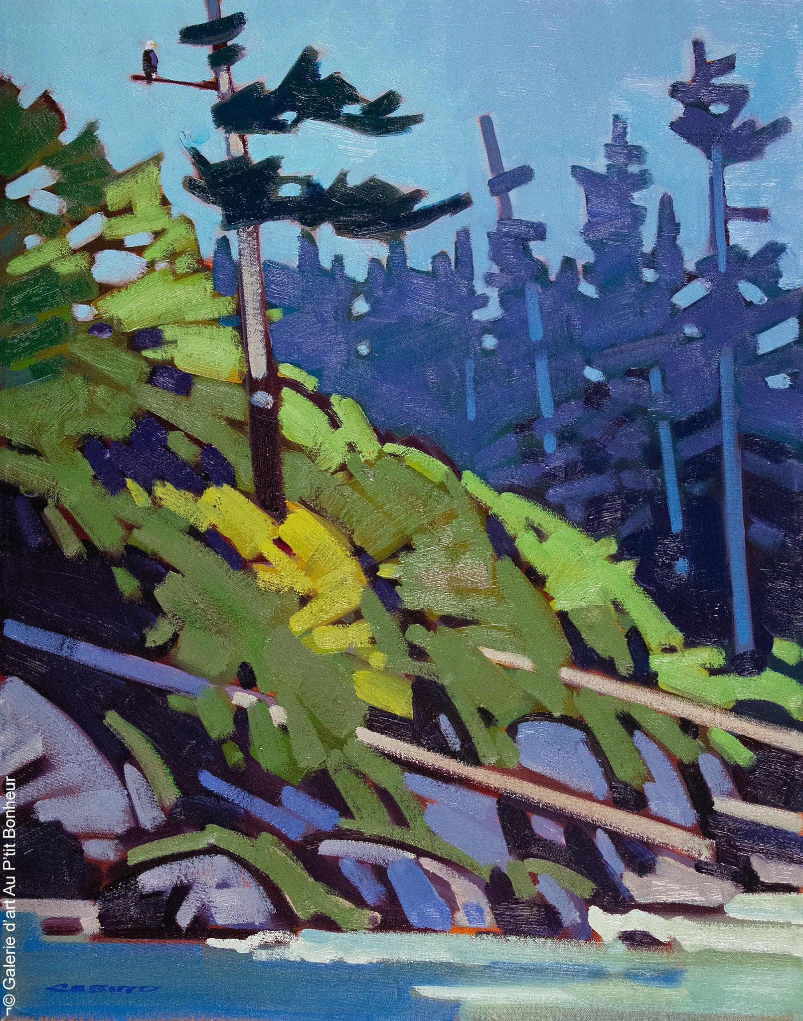 Cameron Bird | Eagle Tree Cox Bay