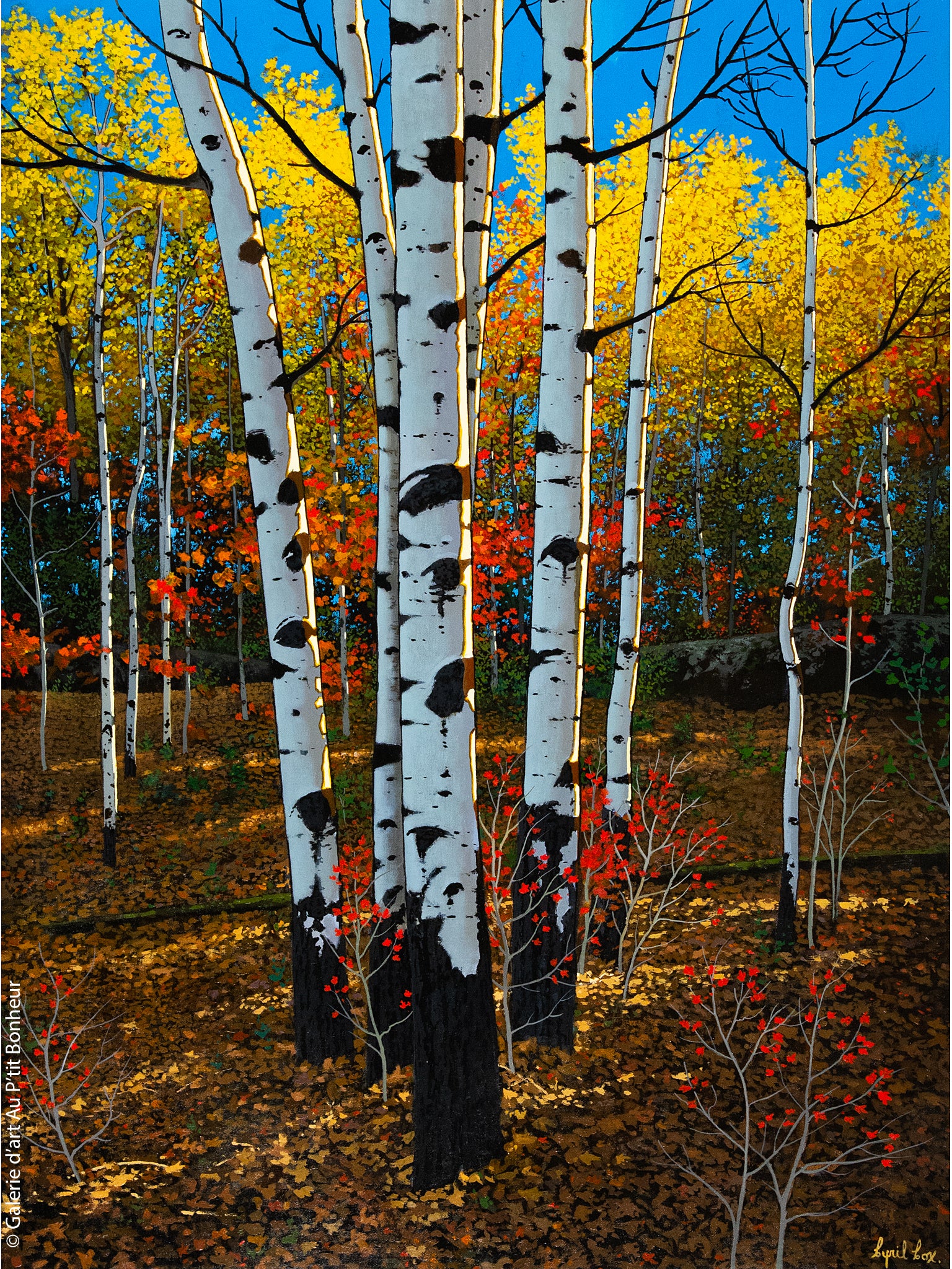 Cyril Cox | Sunshine and Aspens