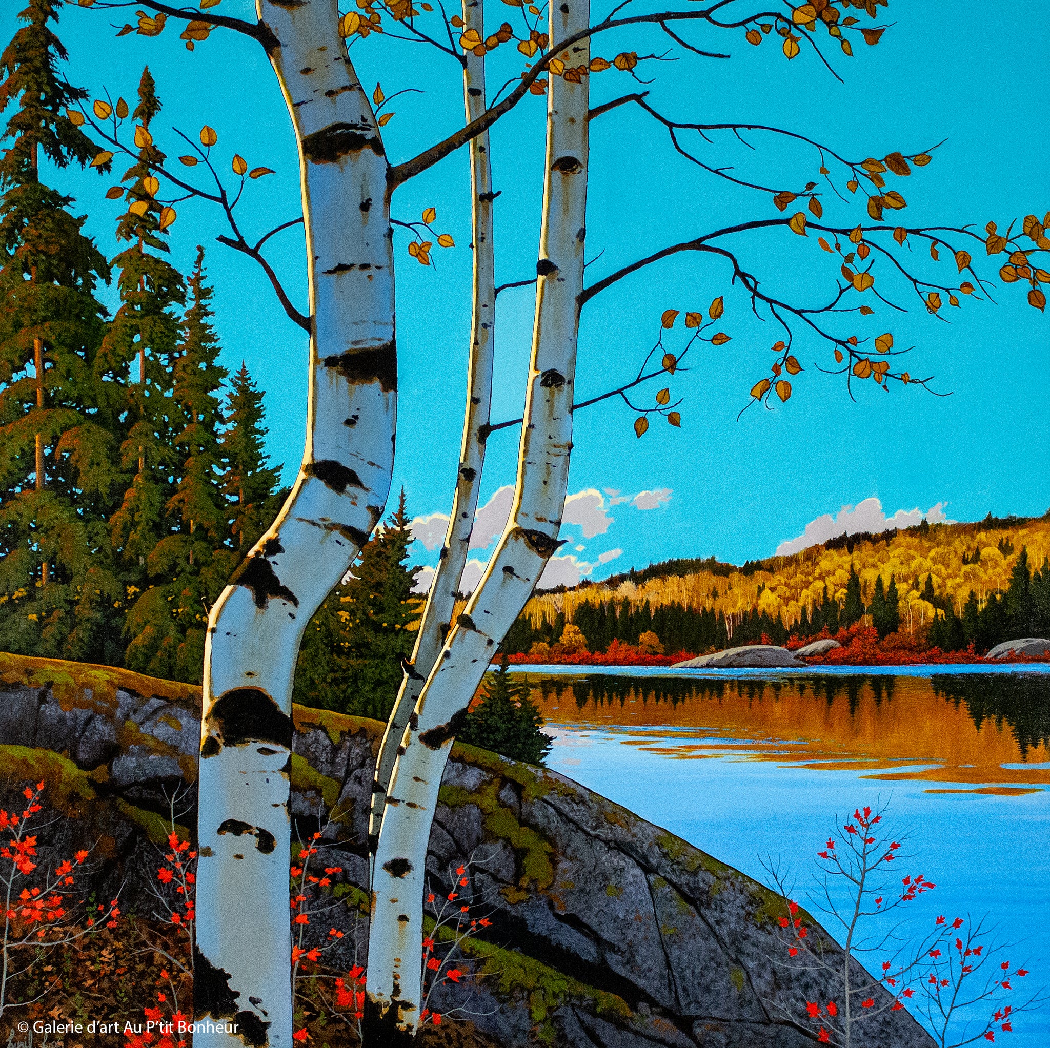 Cyril Cox | Lakeside Aspens