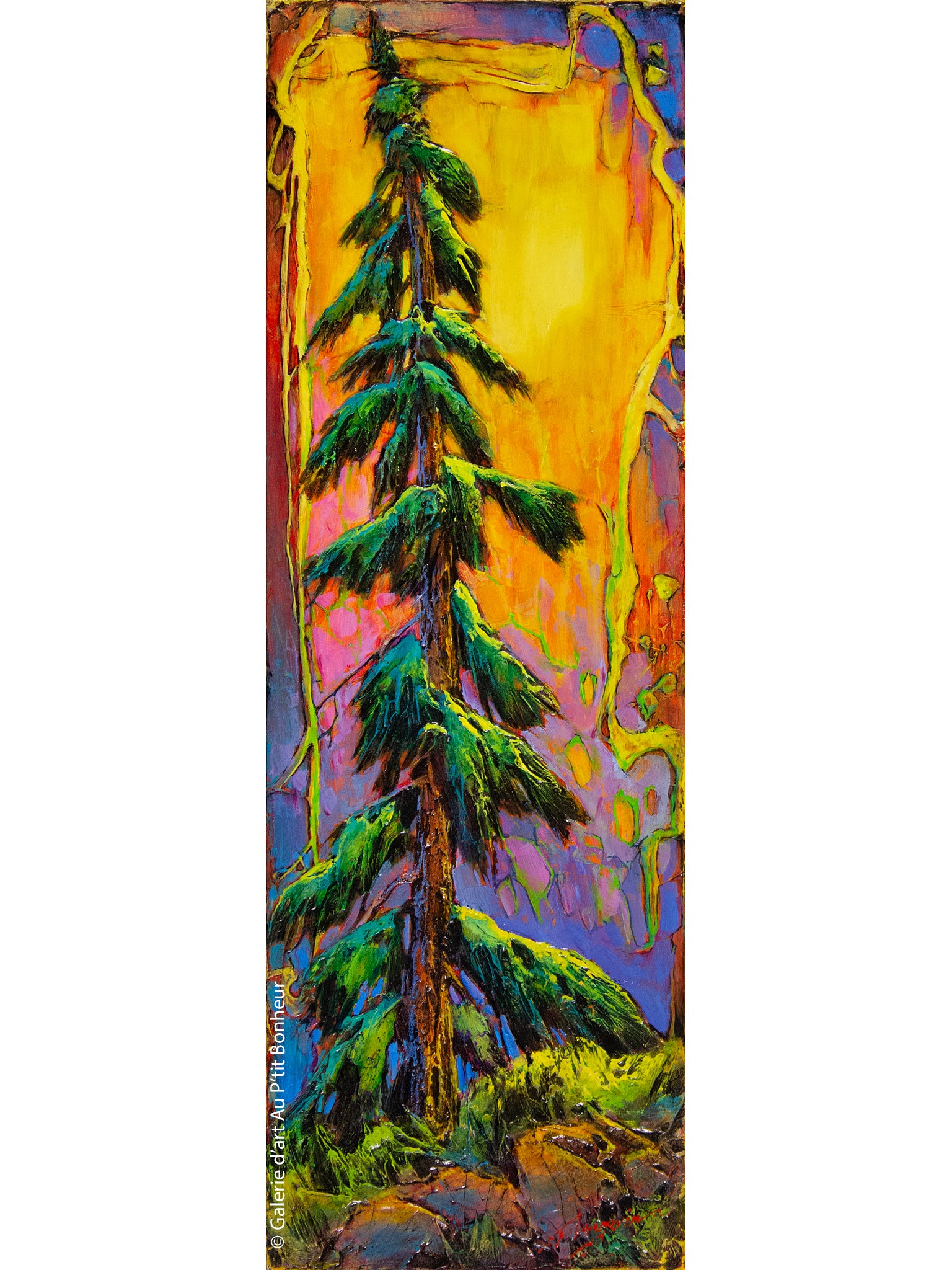 David Langevin | Live Fir