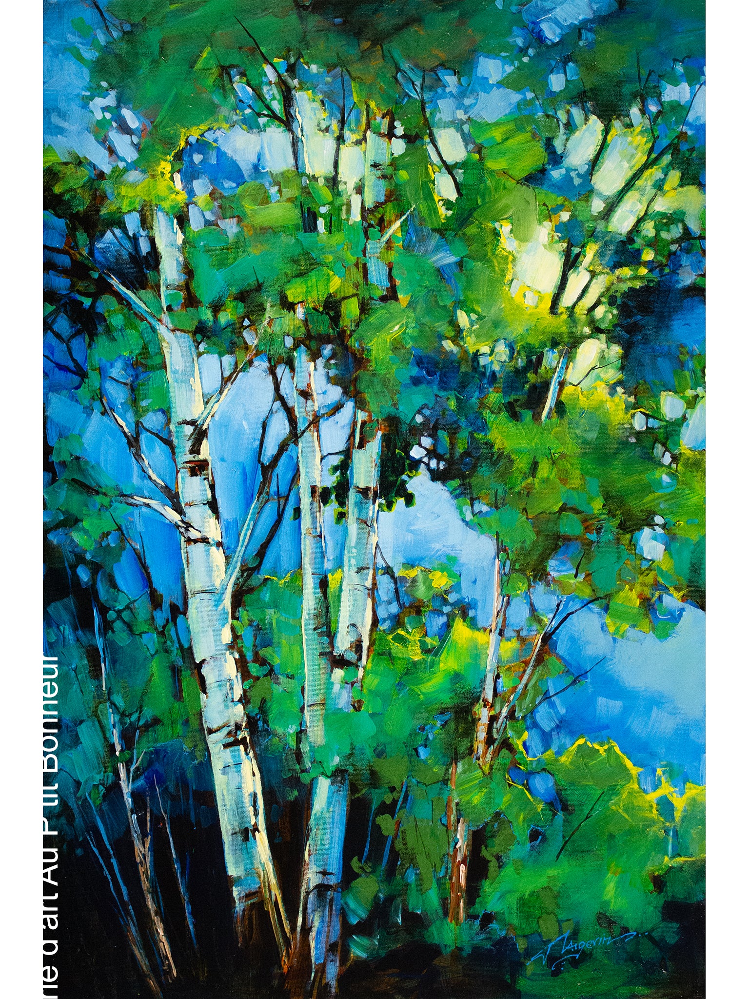 David Langevin | Summer in January