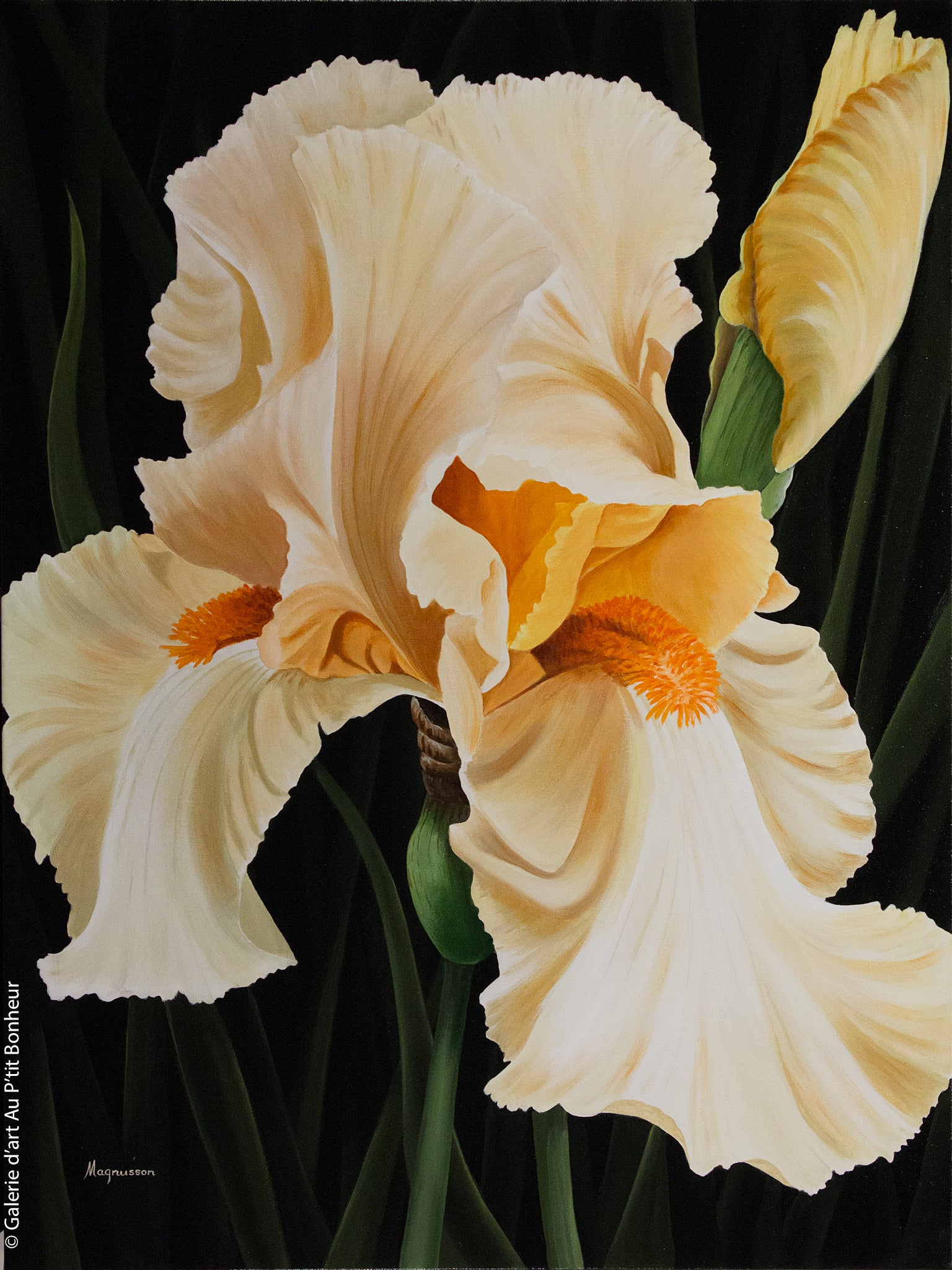 Dennis Magnusson | Yellow Iris (2014)