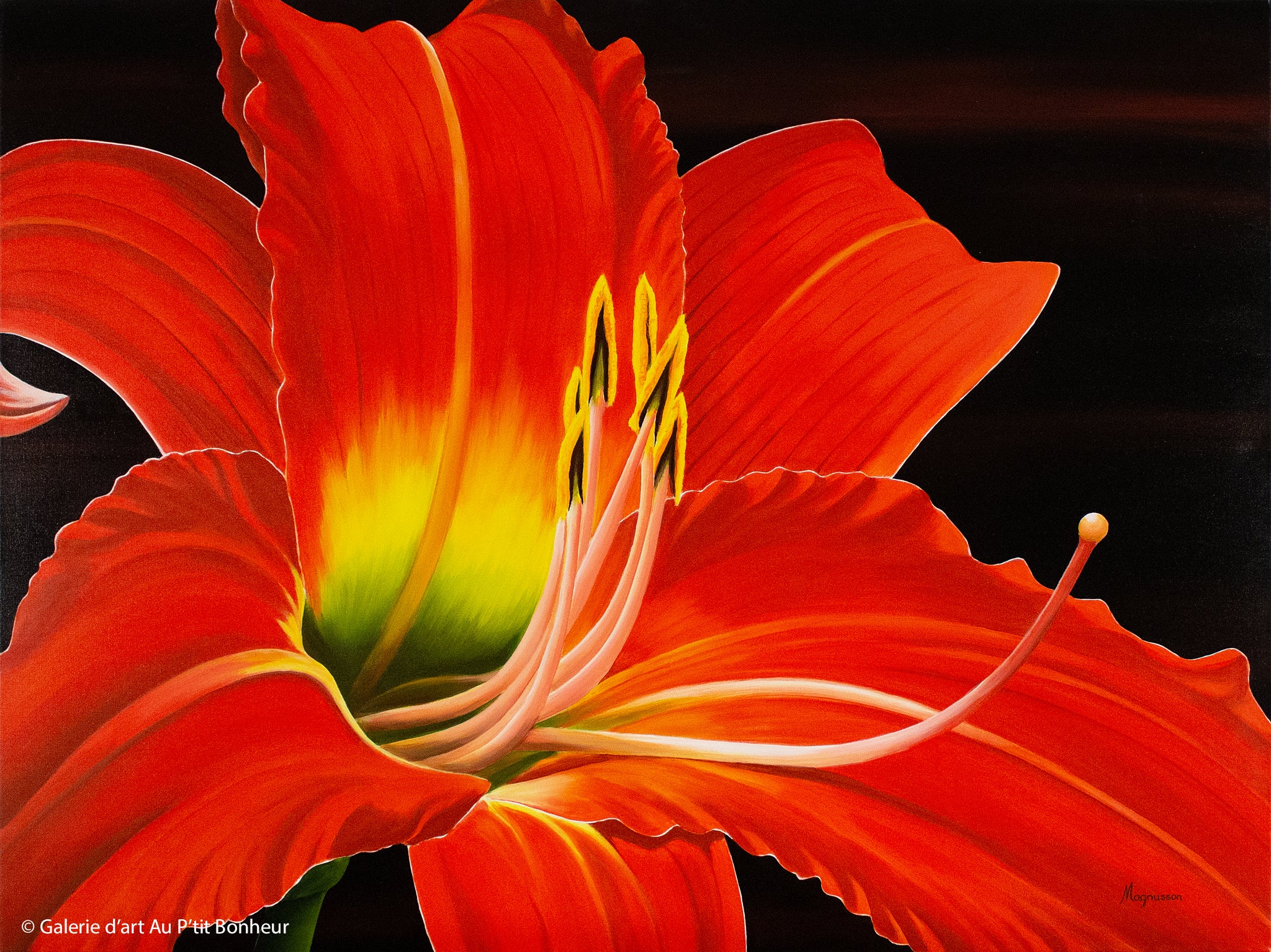 Dennis Magnusson | Red Day Lily 3 (2013)
