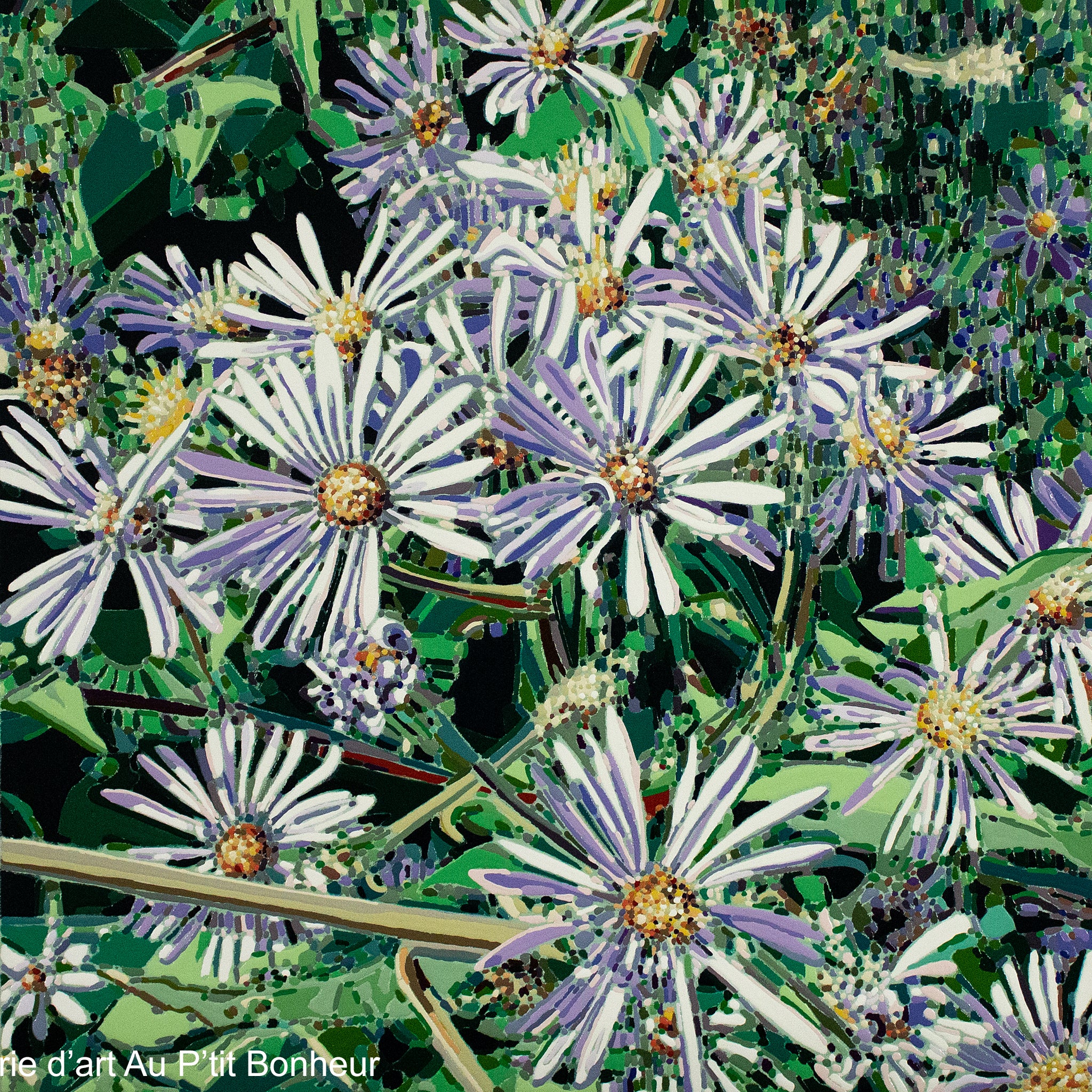Élyse Turbide | Jardins sauvages LXXXI
