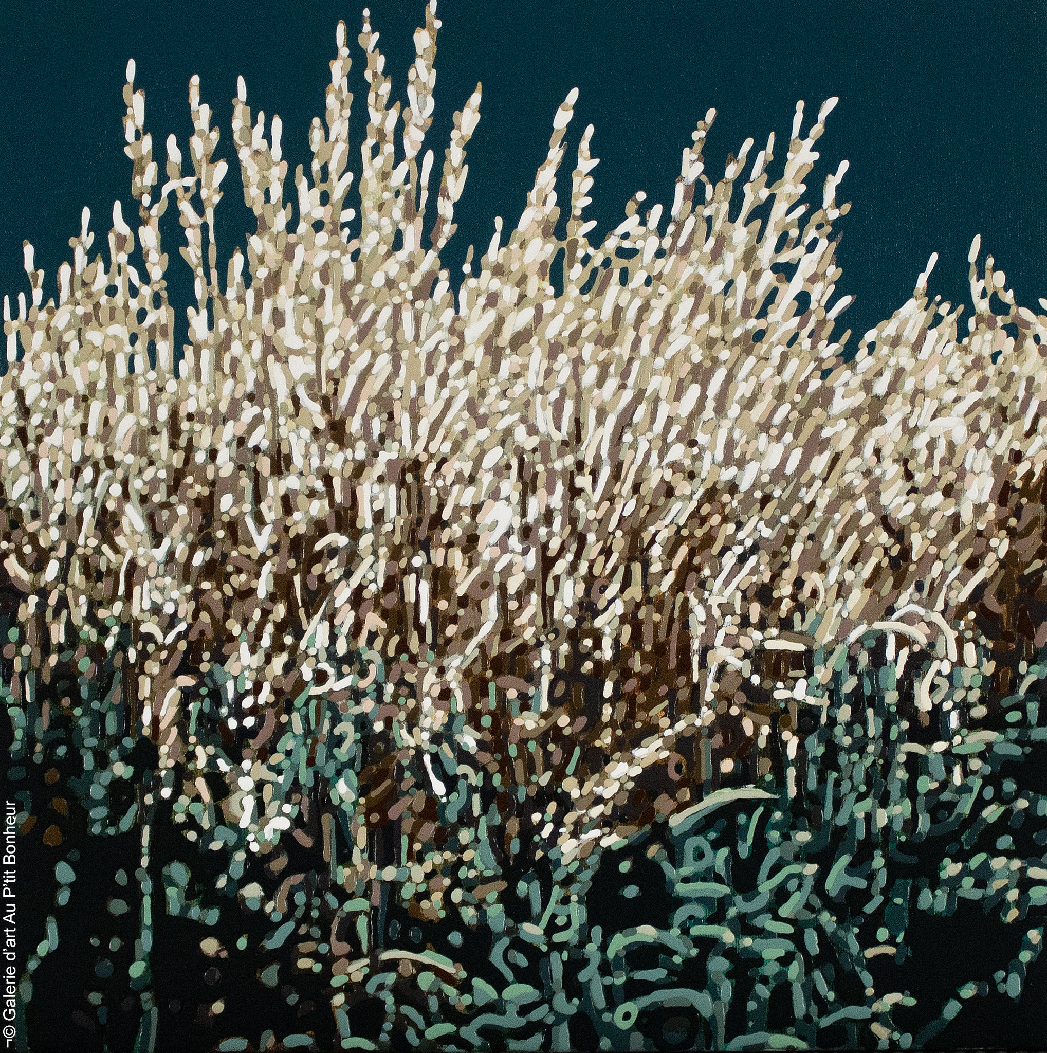 Elyse Turbide | Jardin intime VIII