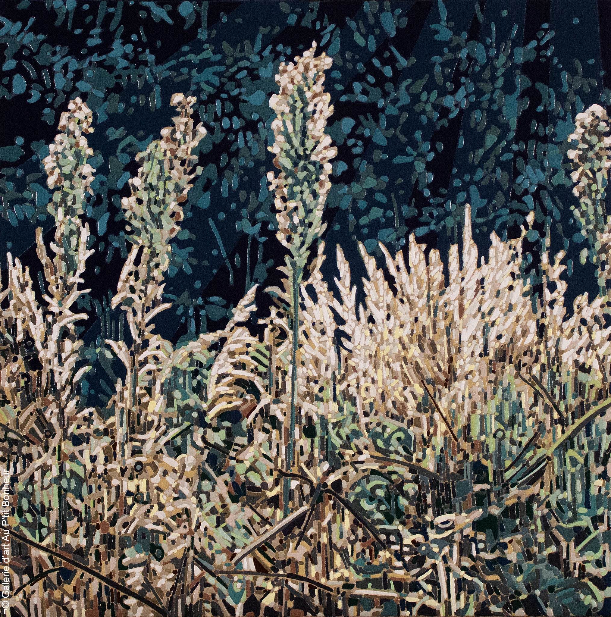 Elyse Turbide | Jardins sauvages XCV