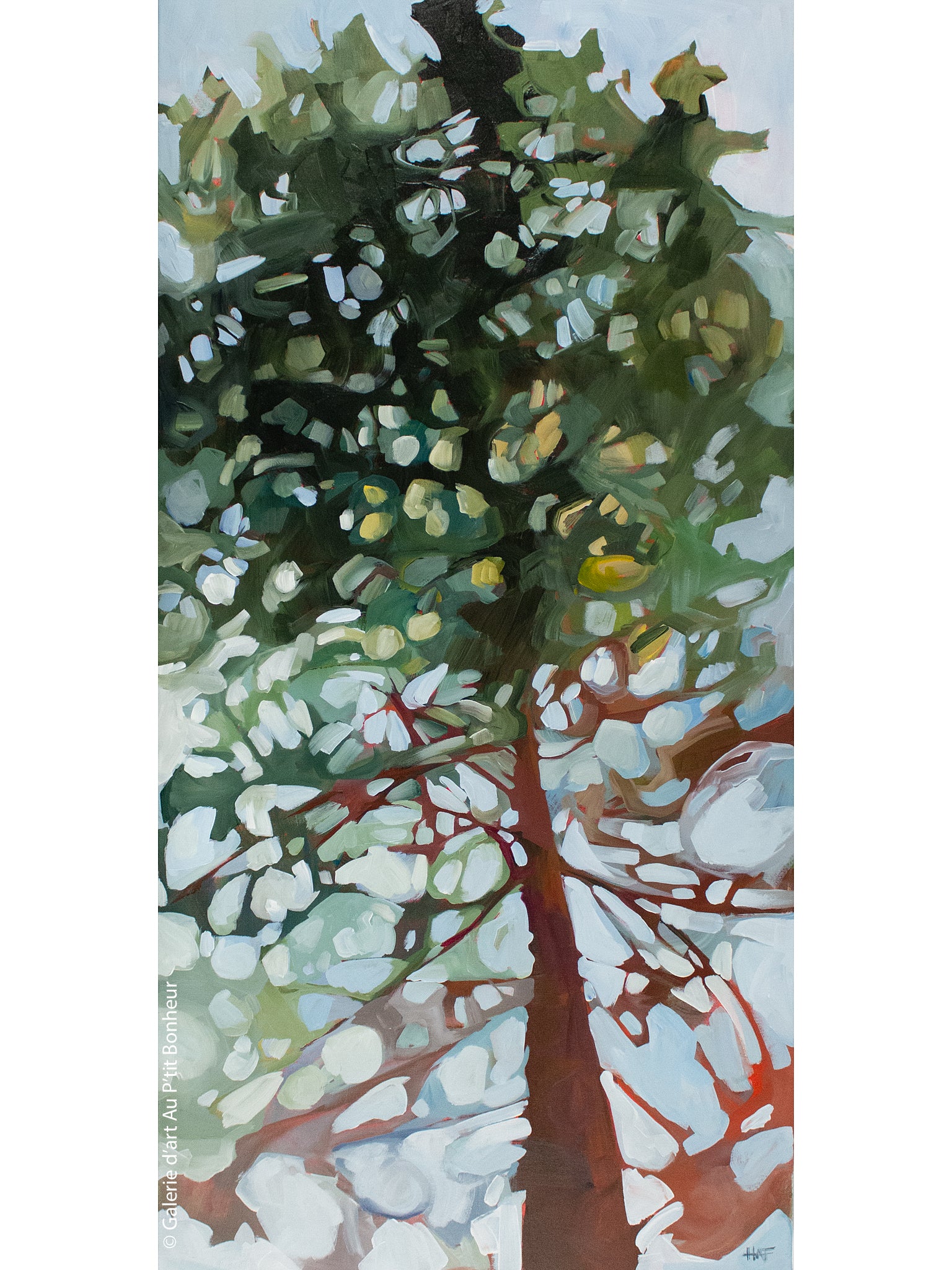 Holly Ann Friesen | Tall Pine 12