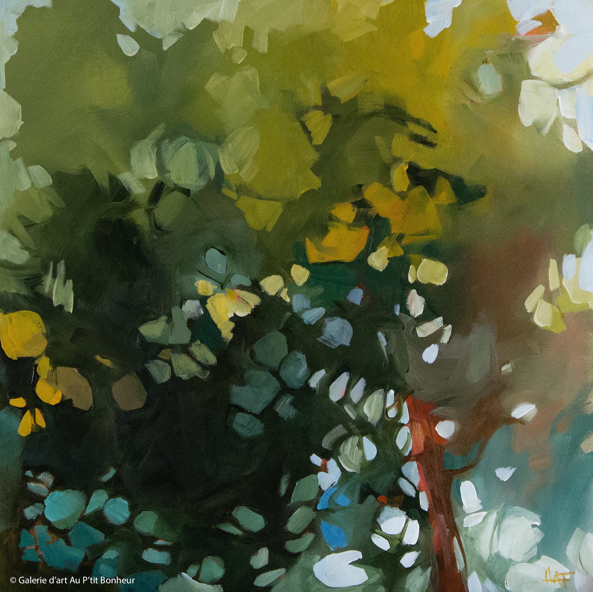 Holly Ann Friesen | Looking Softly