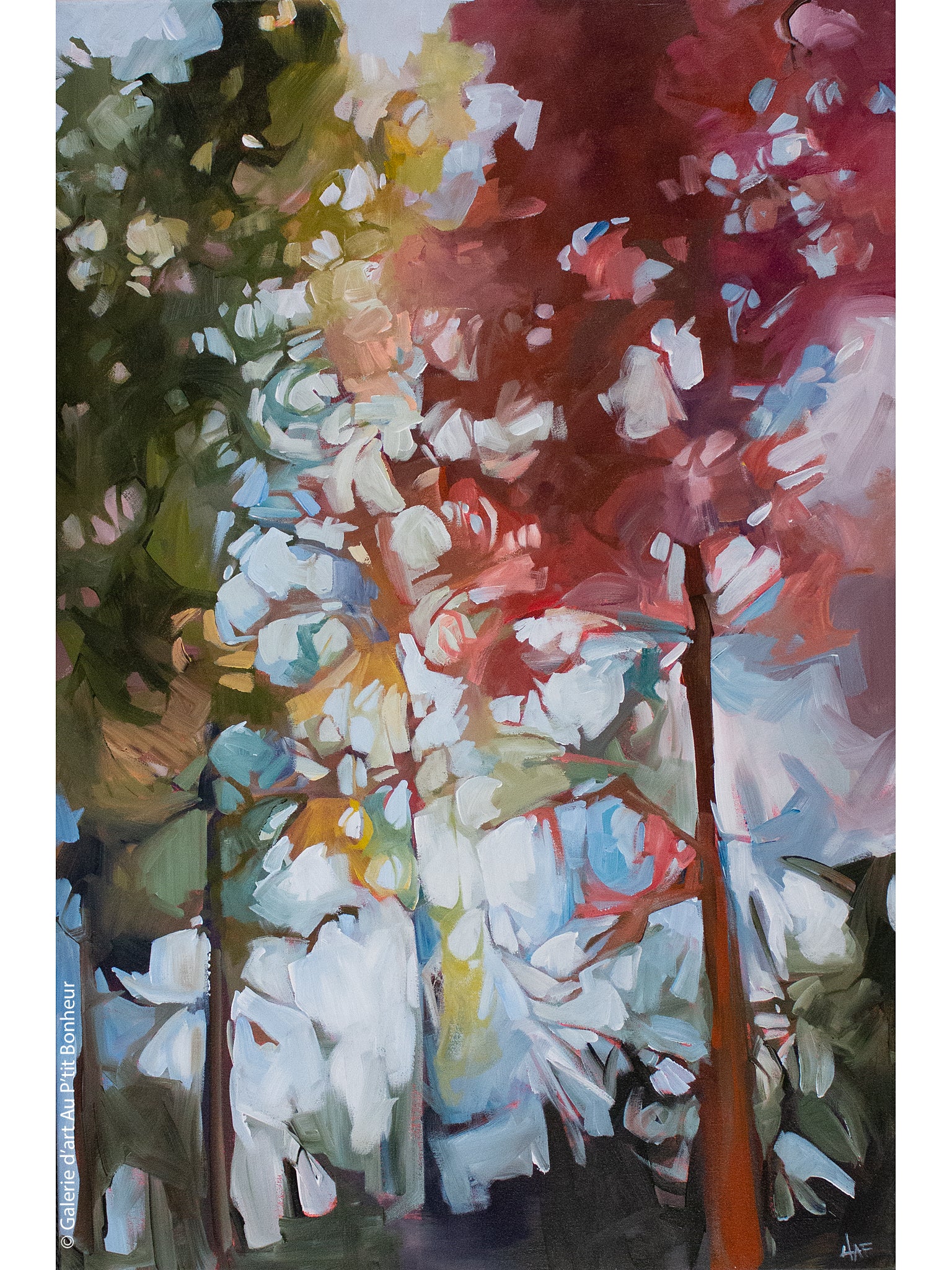 Holly Ann Friesen | Rosie