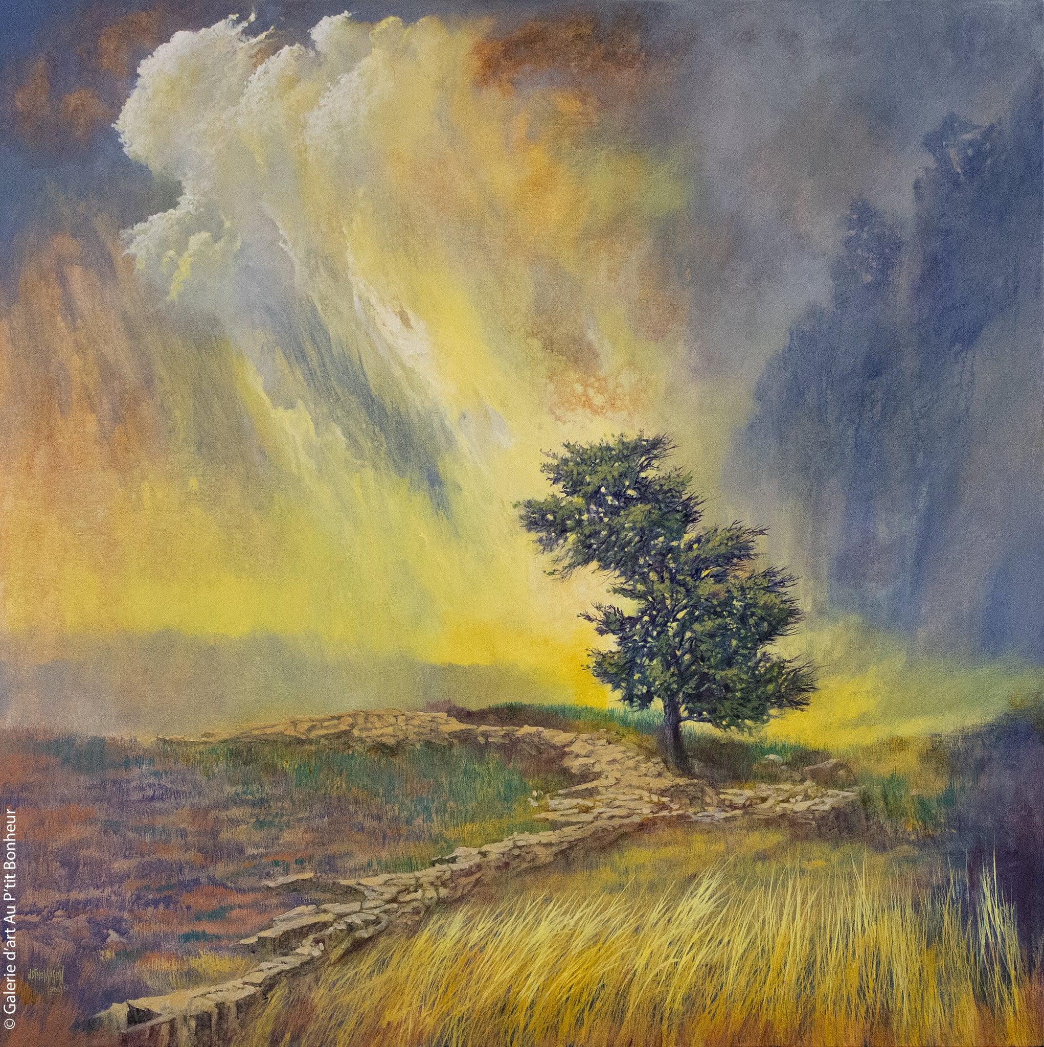 J. Douglas Thompson, artiste peintre | Oeuvres disponibles  | Galerie d'art Au P'tit Bonheur