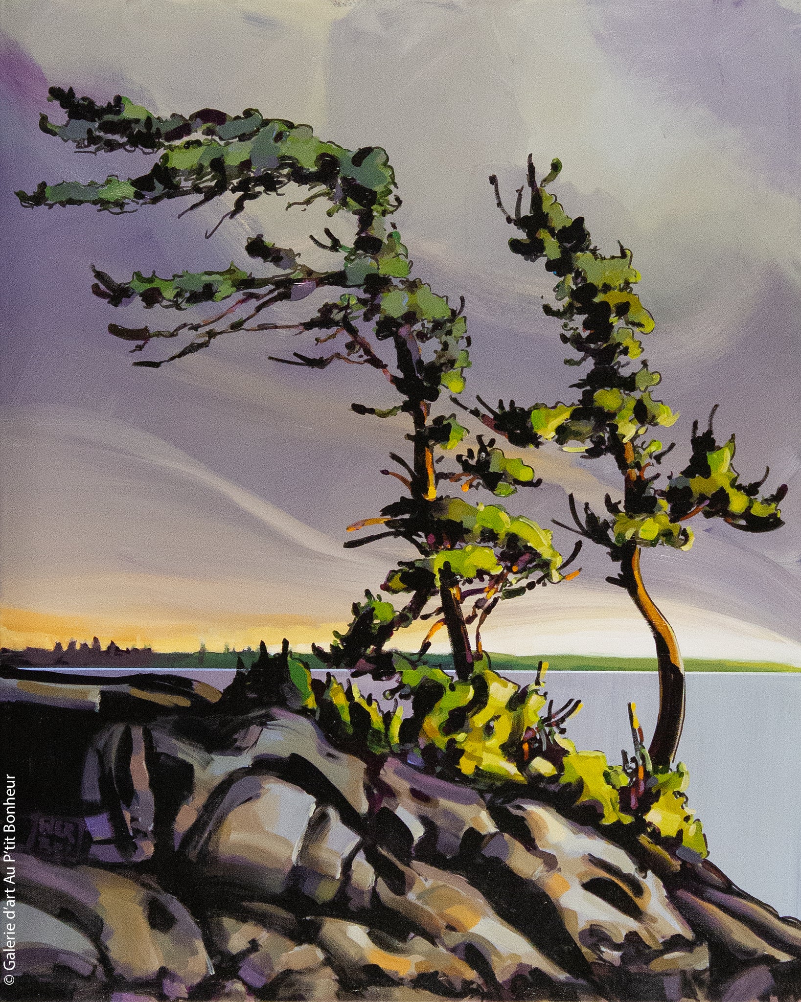 Jerzy Werbel | World of Greenery