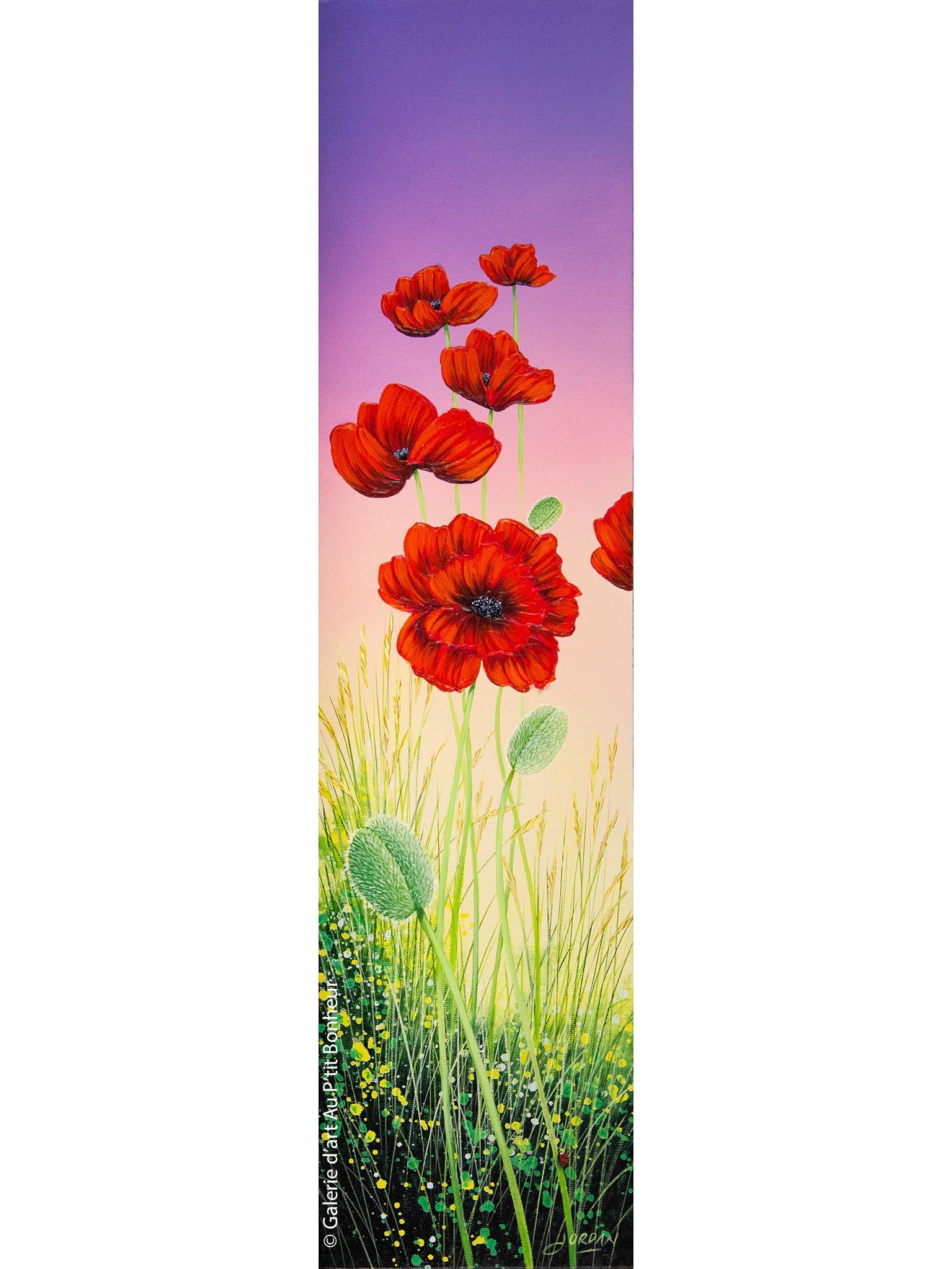 Jordan Hicks | Poppies & Lady Beetle IV