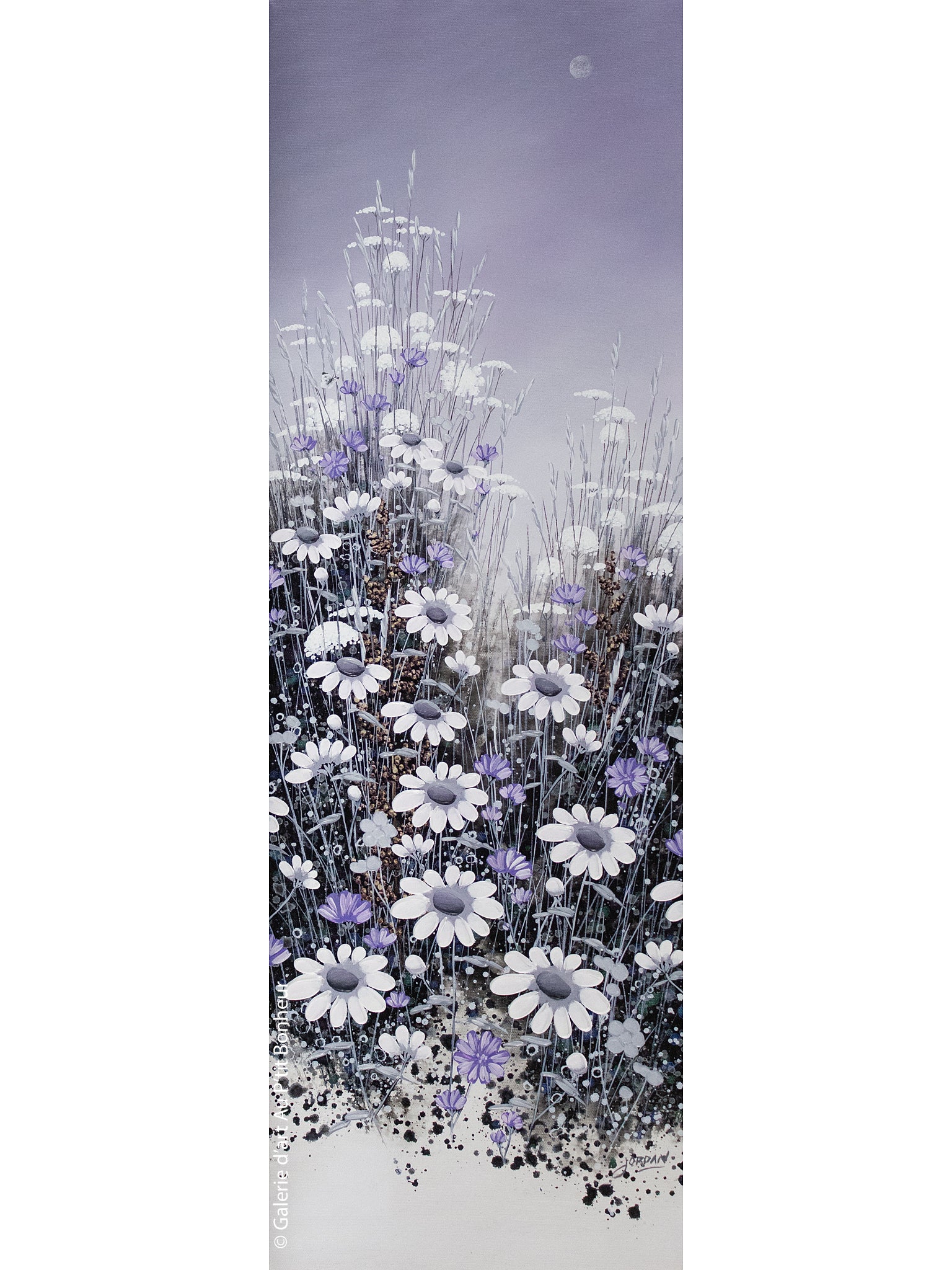 Jordan Hicks | Chicory Moon