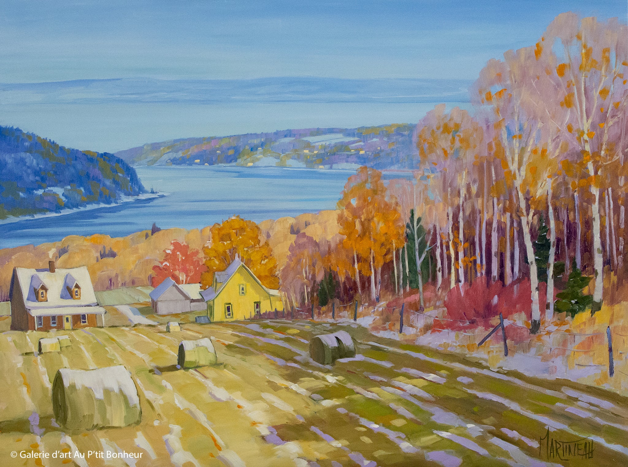 Louise Martineau | Surprise de novembre