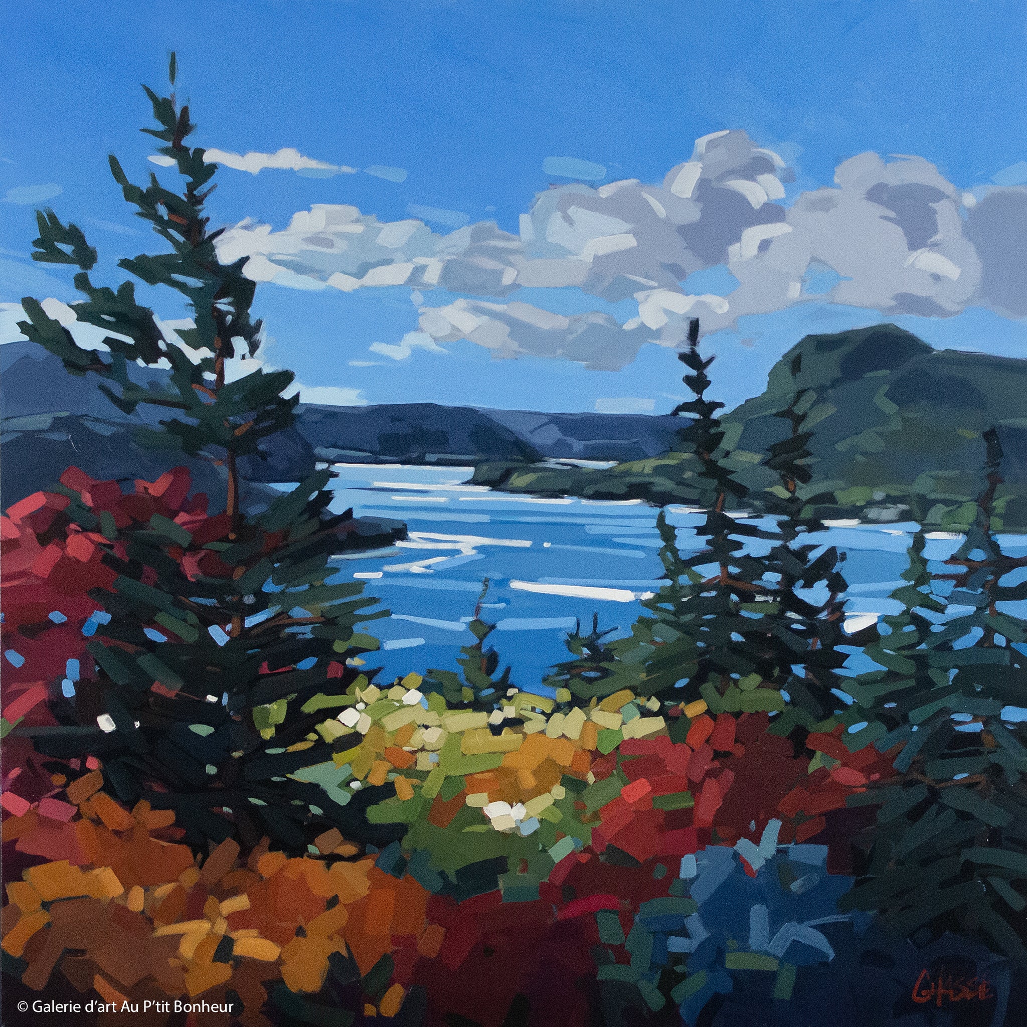 Martine Chassé | Du haut de Woody Point