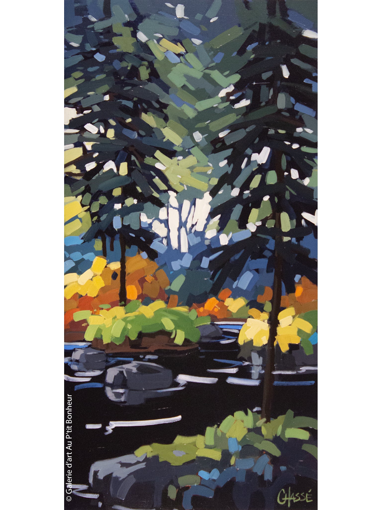 Martine Chassé | Là où je prends racine I