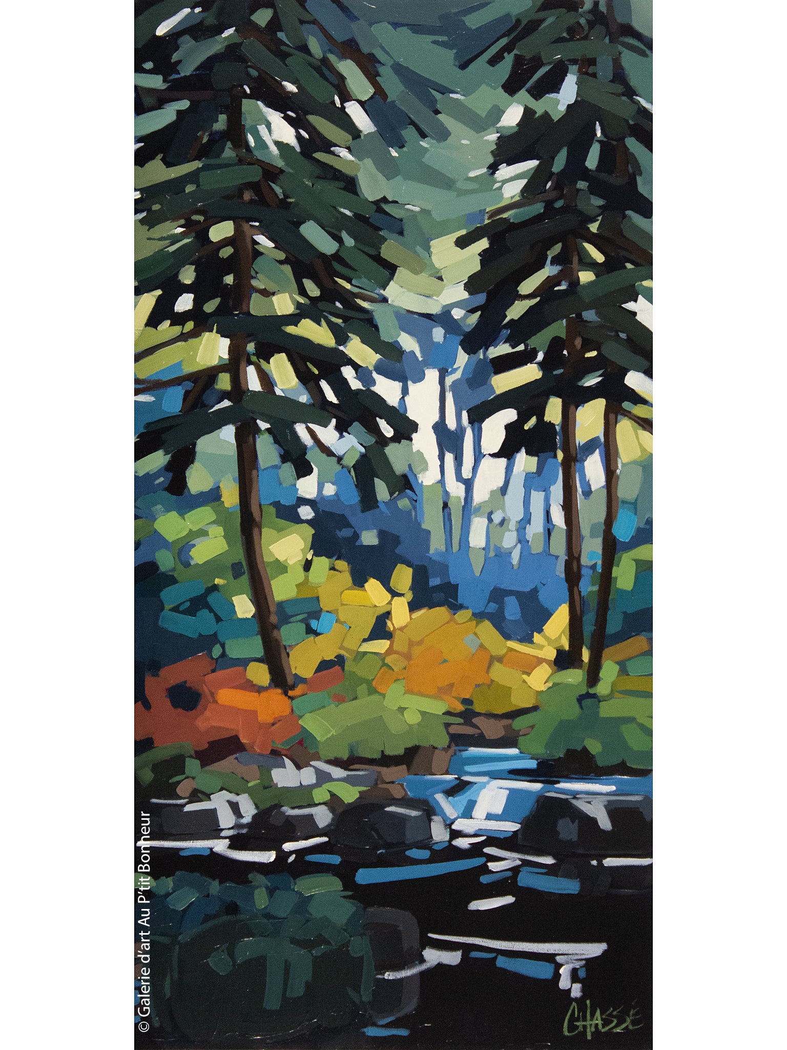 Martine Chassé | Là où je prends racine II