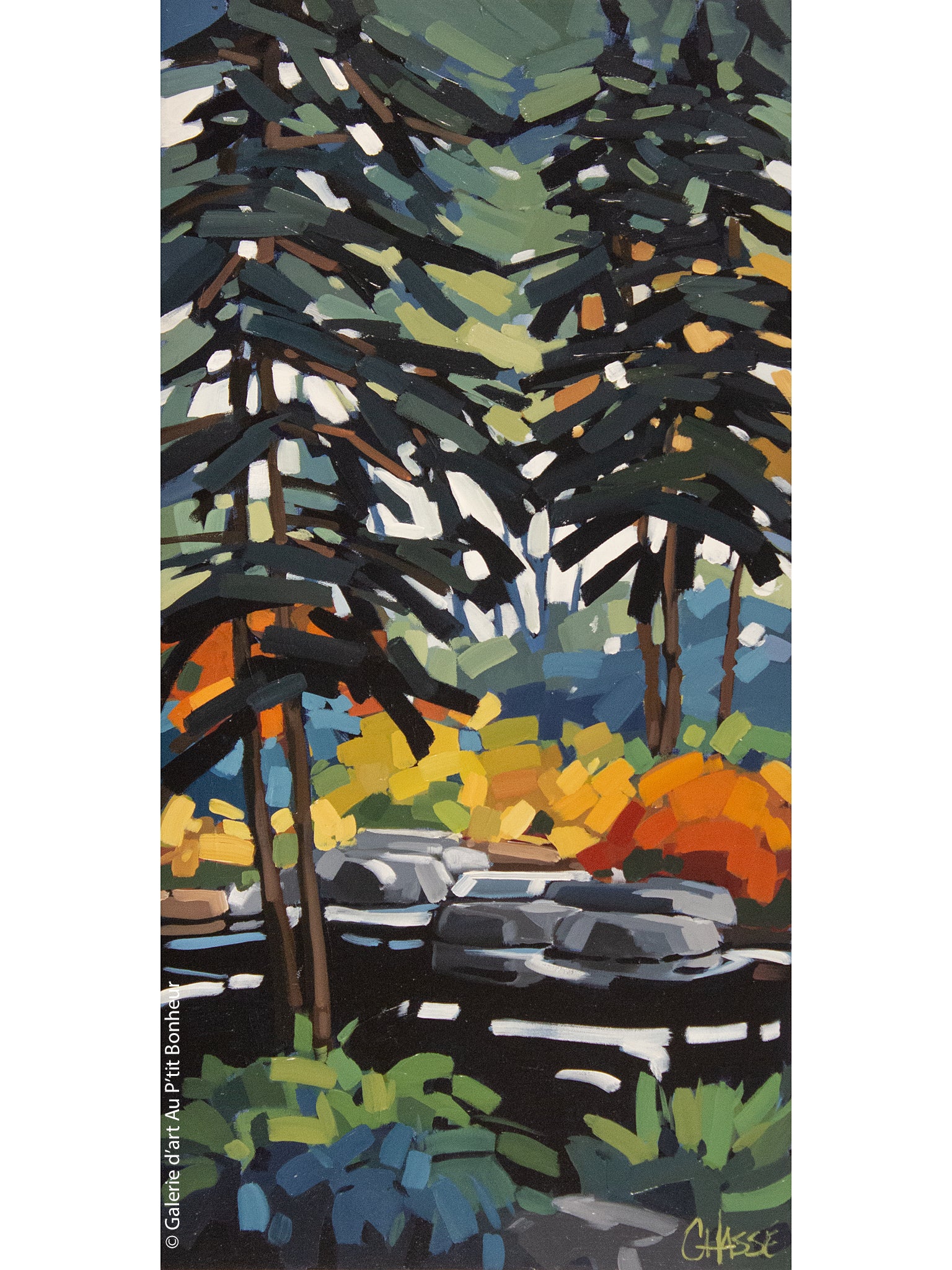 Martine Chassé | Là où je prends racine III