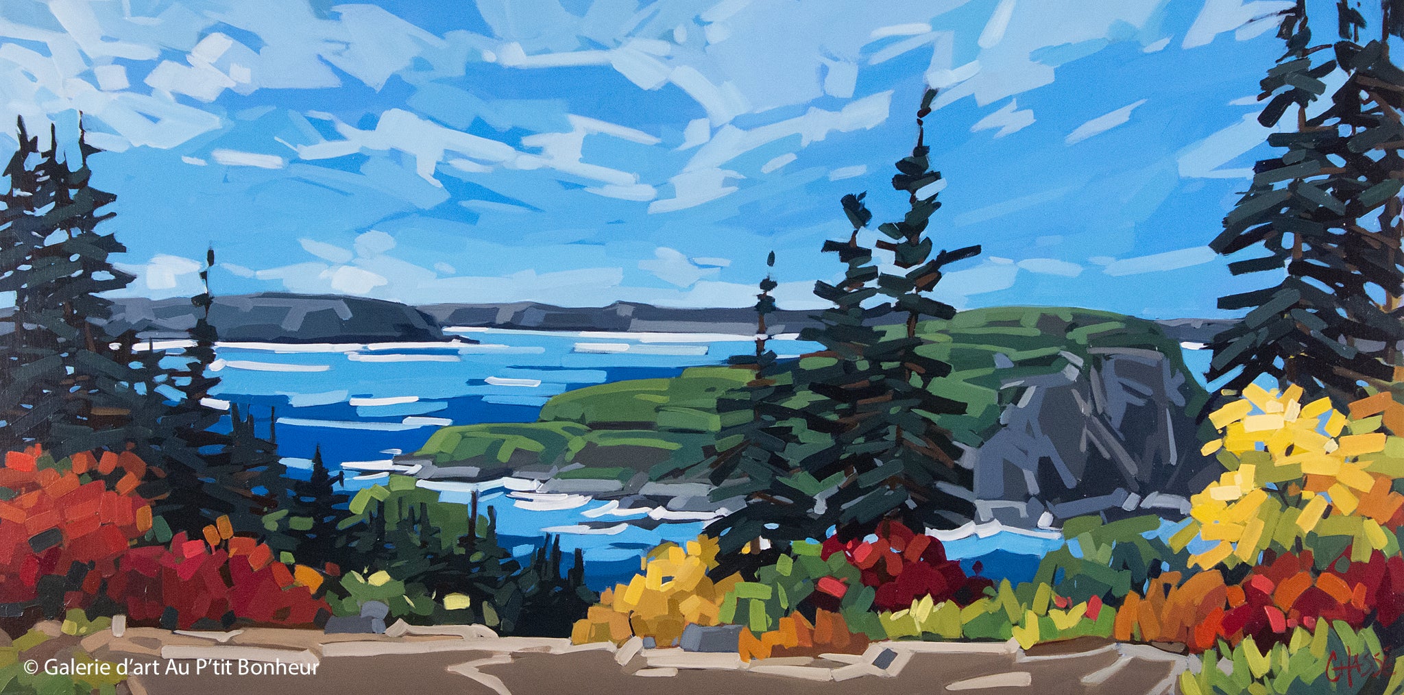 Martine Chassé | Rencontrer mon rocher intérieur, Back Harbour, T.-N.