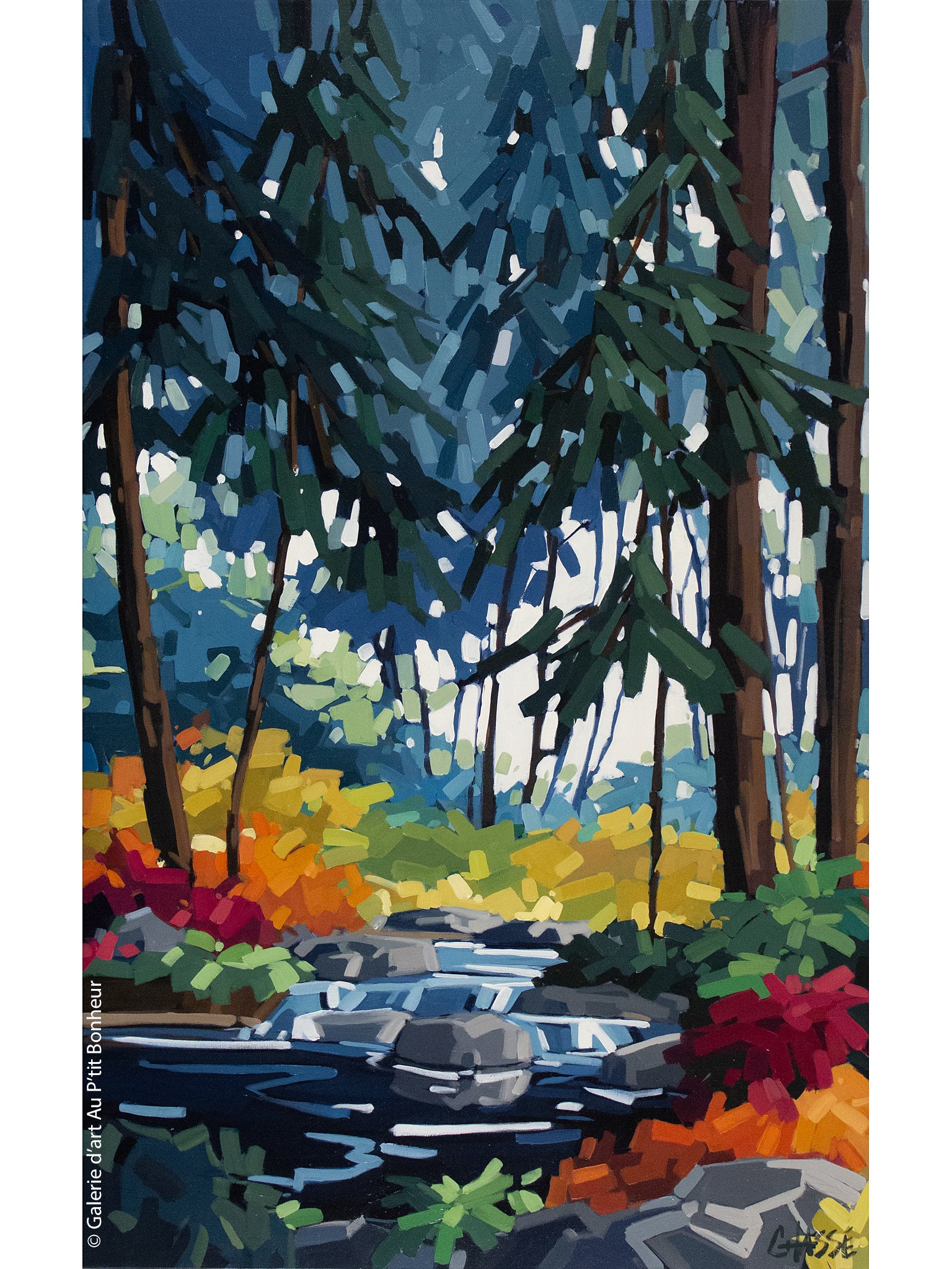 Martine Chassé | Là où je prends racine 7