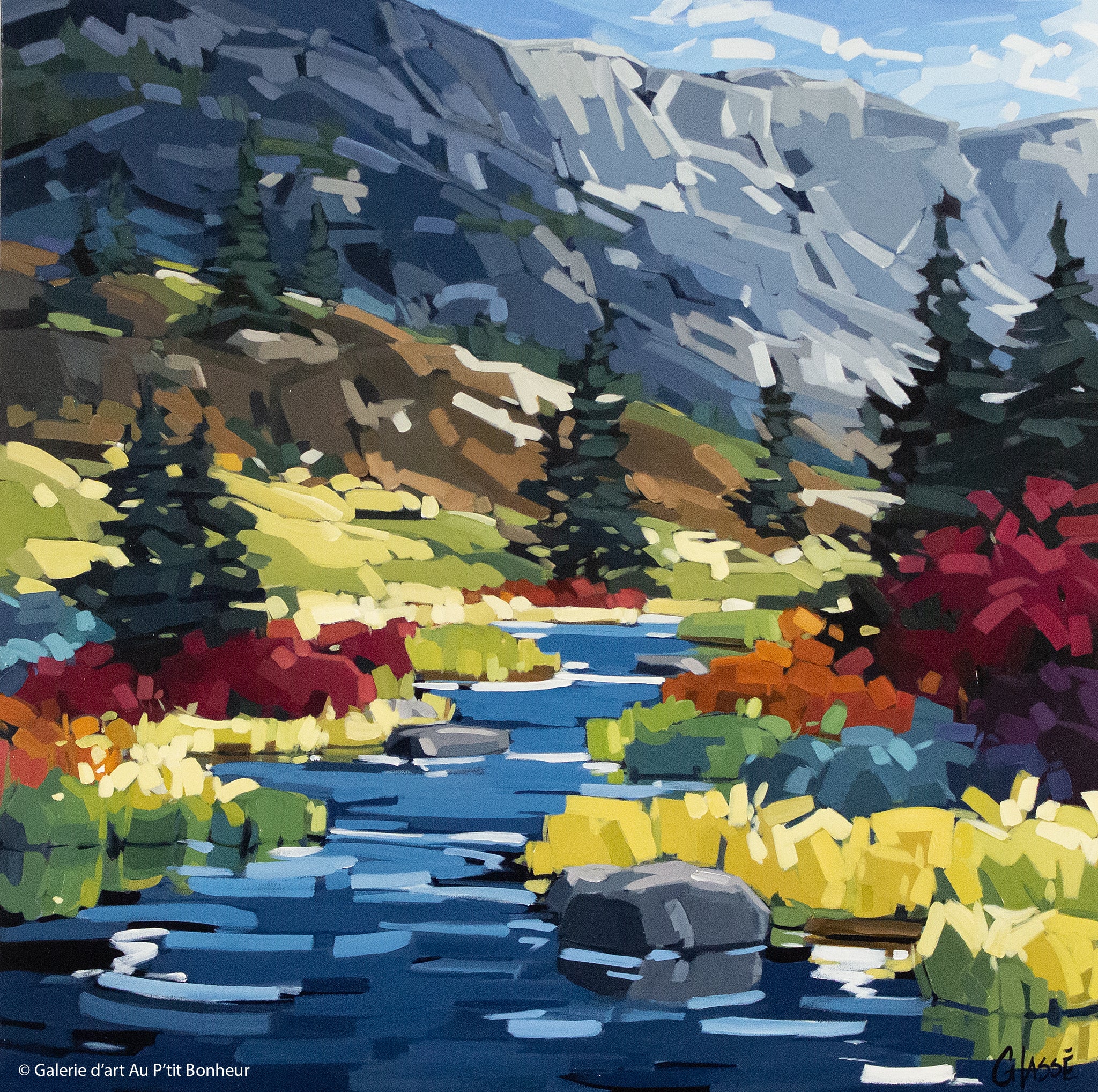 Martine Chassé | La nature se raconte