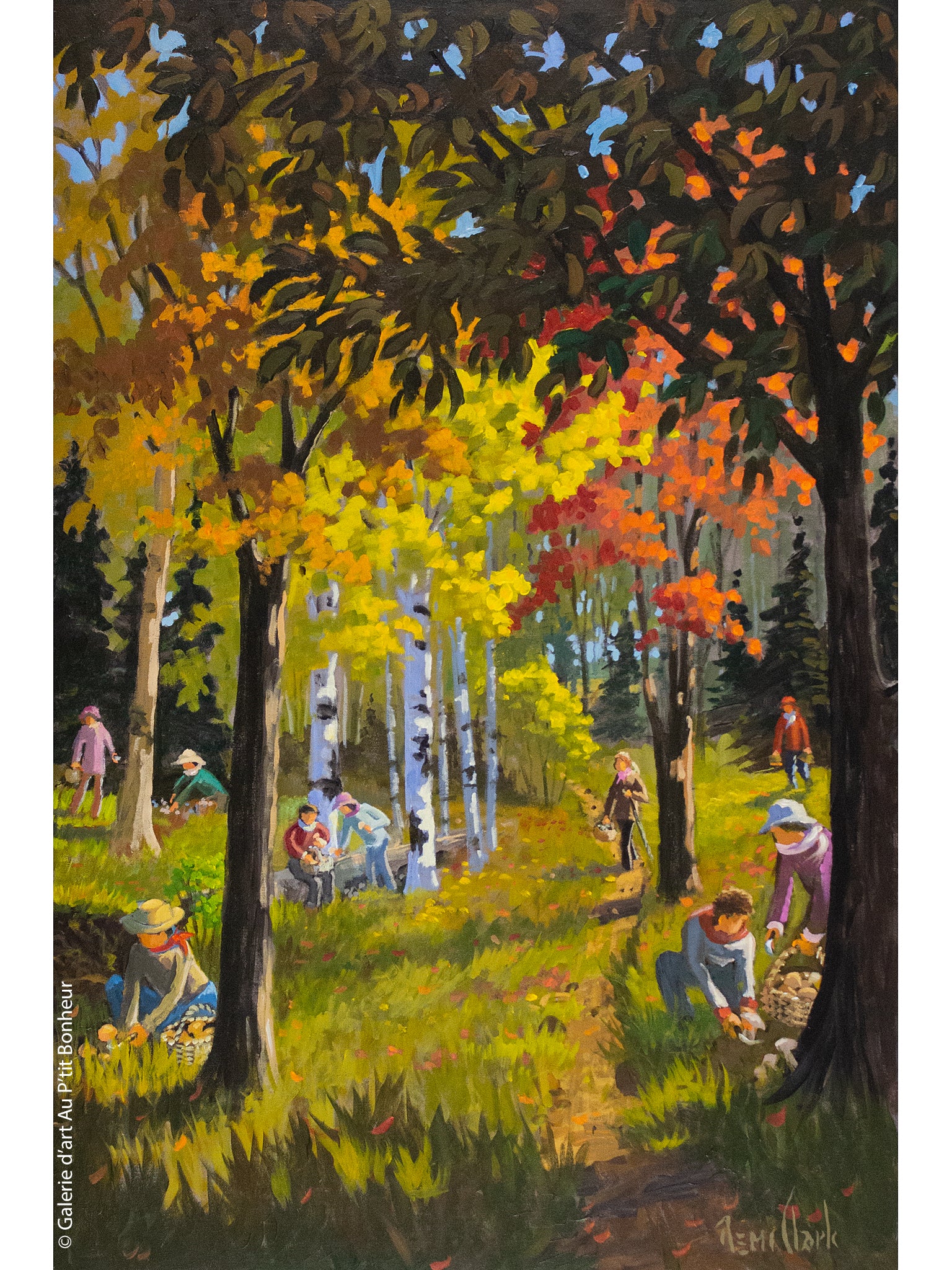 Rémi Clark | Champignons d’automne