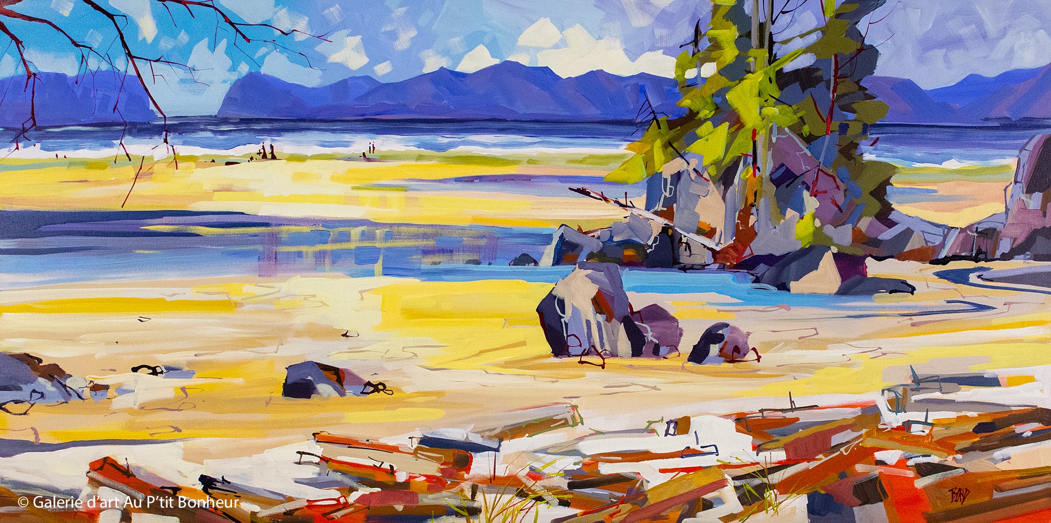 Rick Bond | Ebb Tide at Tofino