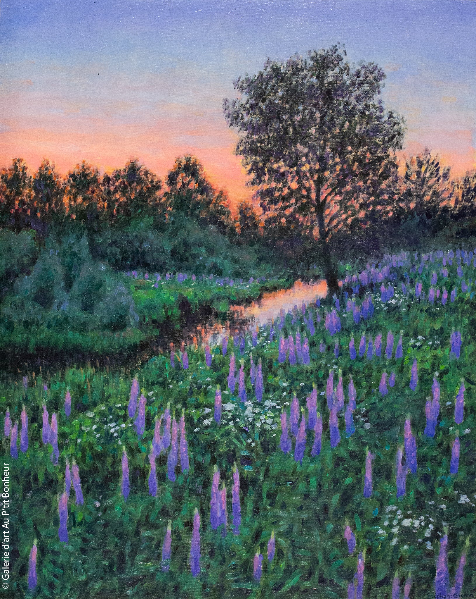 Stéphane Gagnon | Parmi les lupins