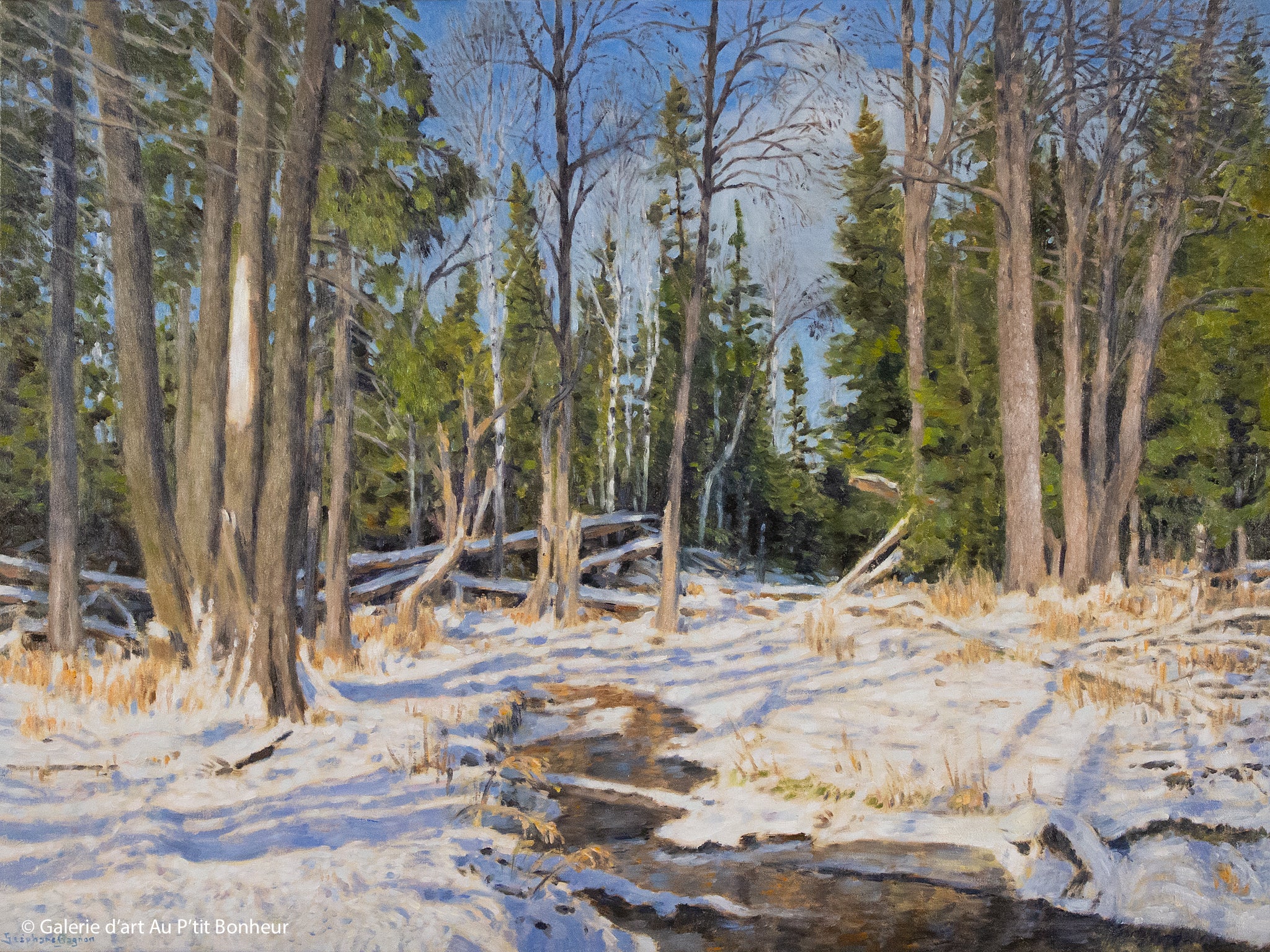 Stéphane Gagnon | Vestiges d’un rude hiver