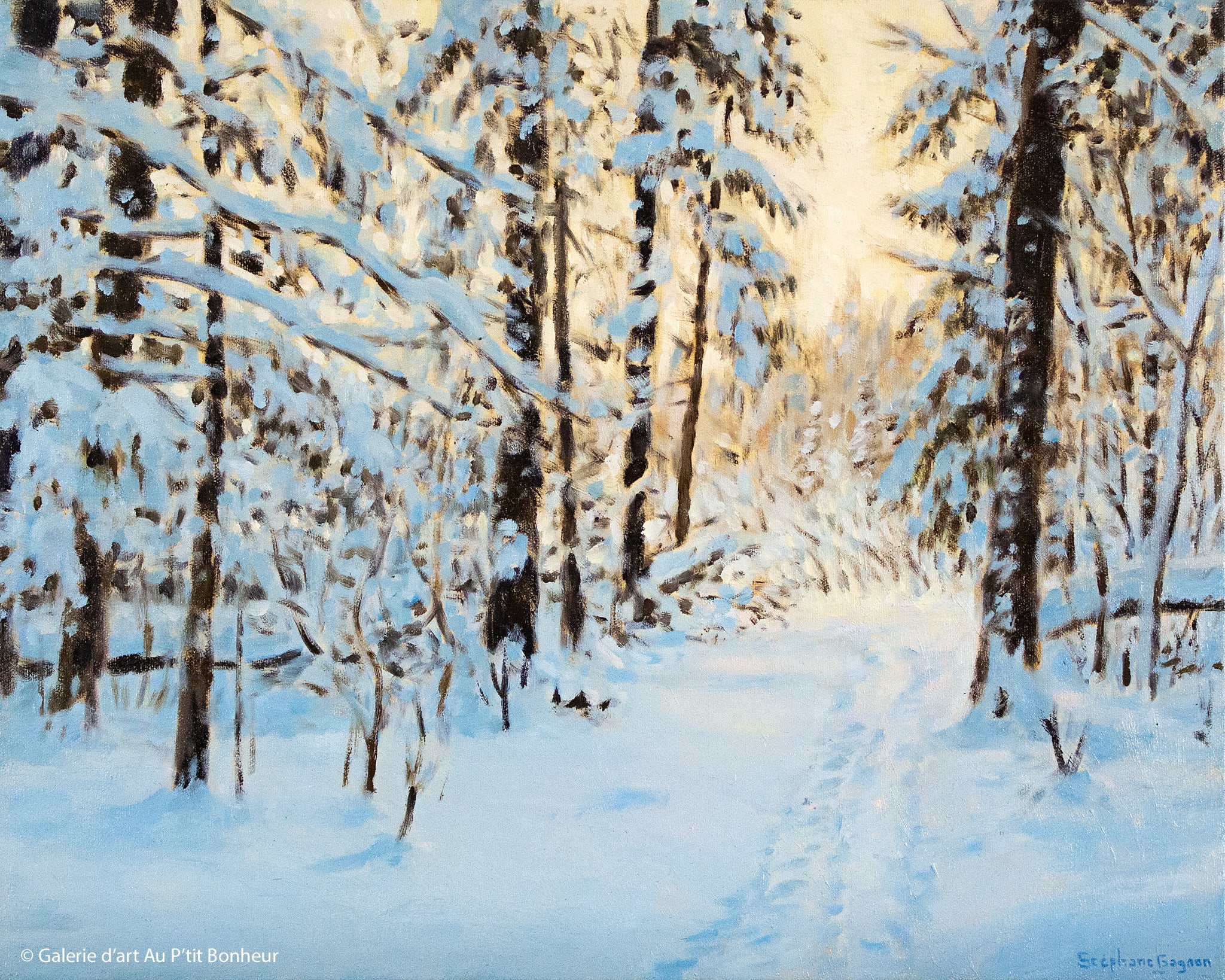 Stéphane Gagnon | Le sentier