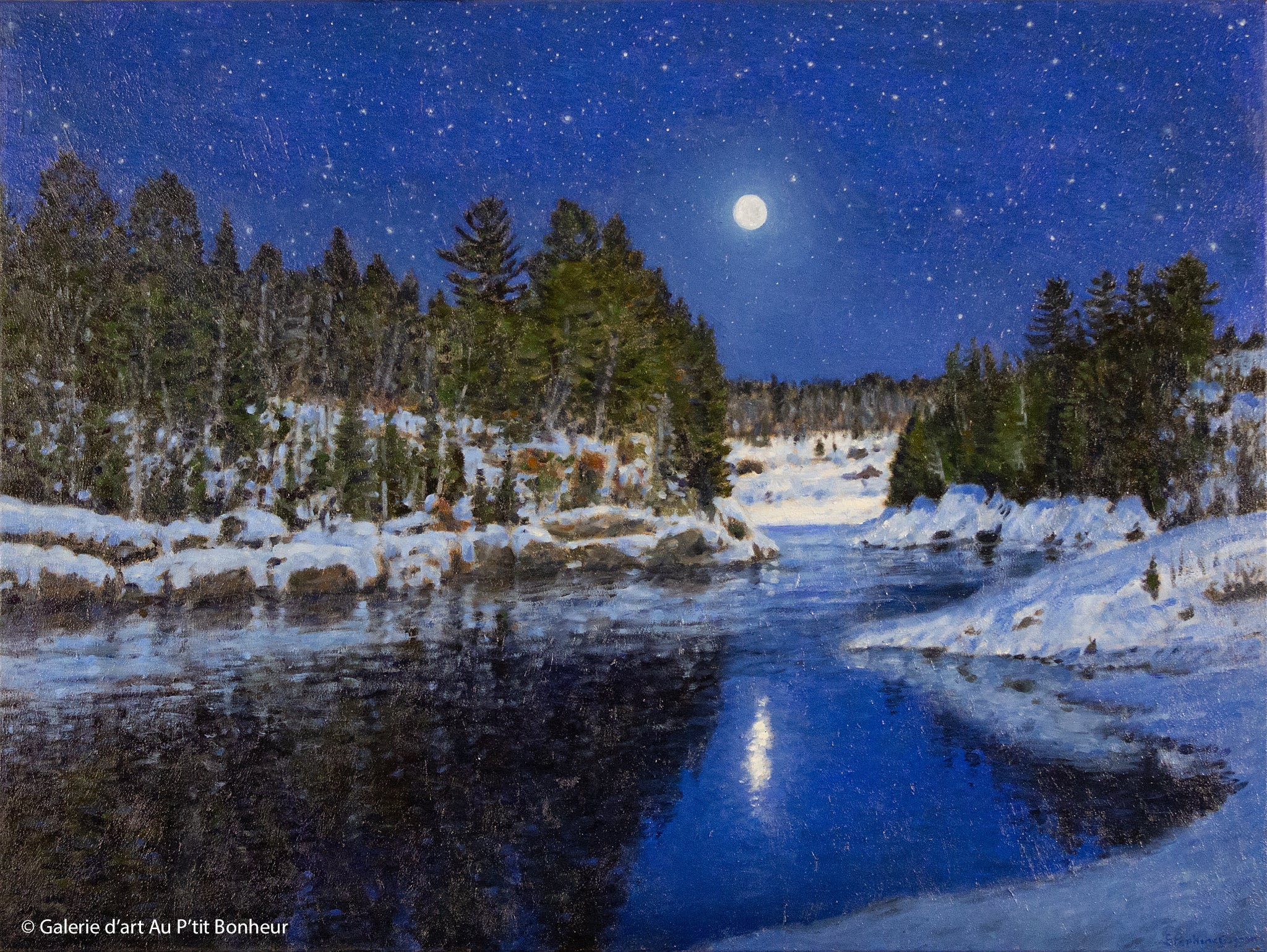 Stéphane Gagnon | Nuit étoilée