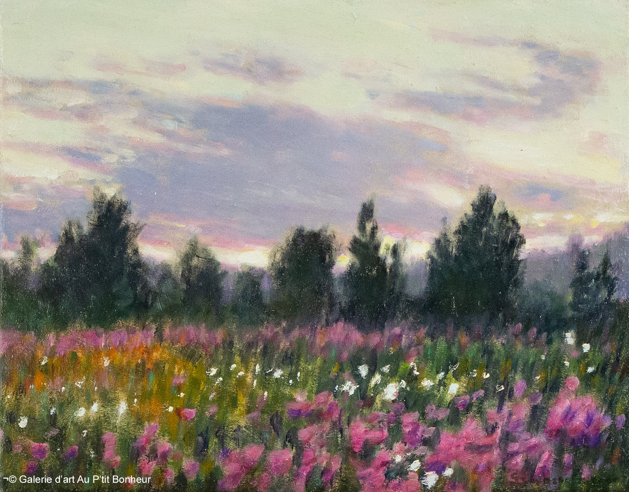 Stéphane Gagnon | Matin rose