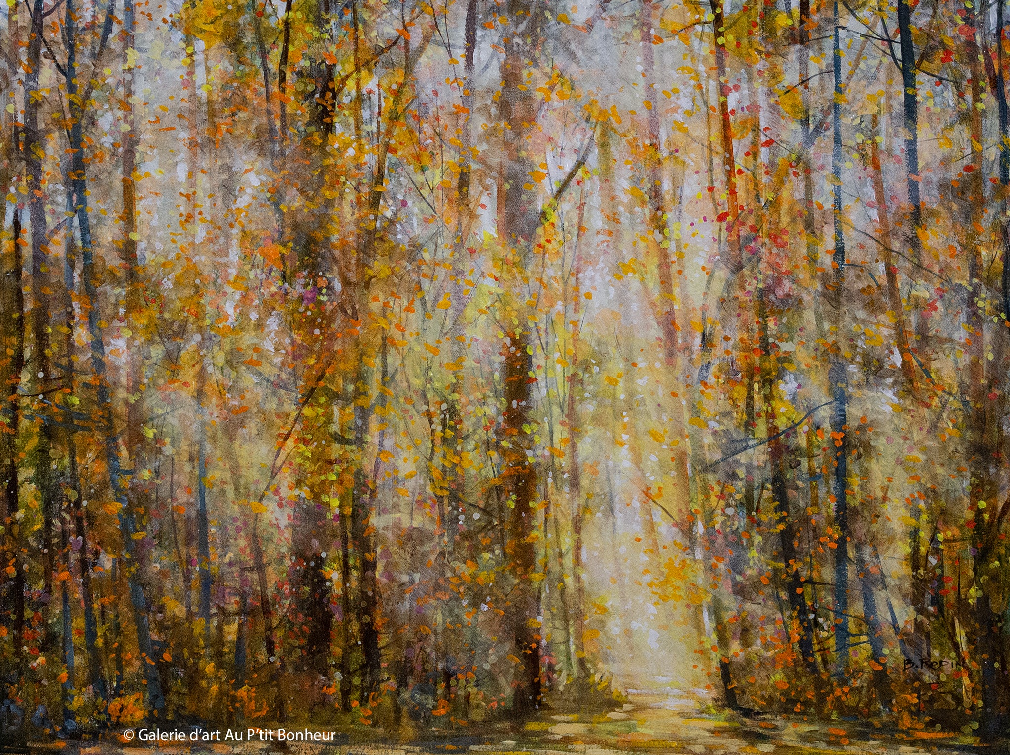 Bev Rodin | Grateful, Forest Light Series