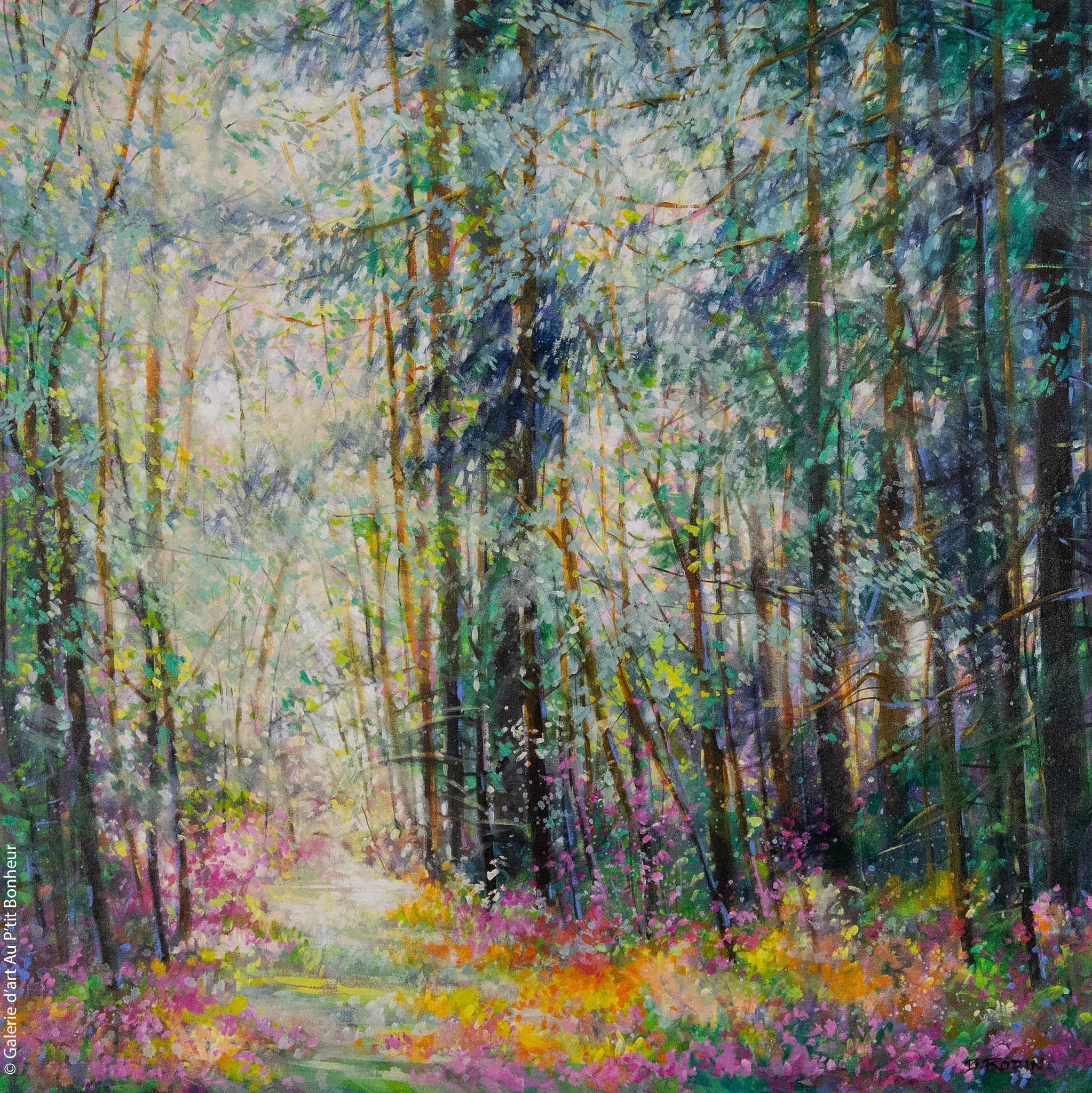 Bev Rodin | Forest Light Series: A Natural Beauty