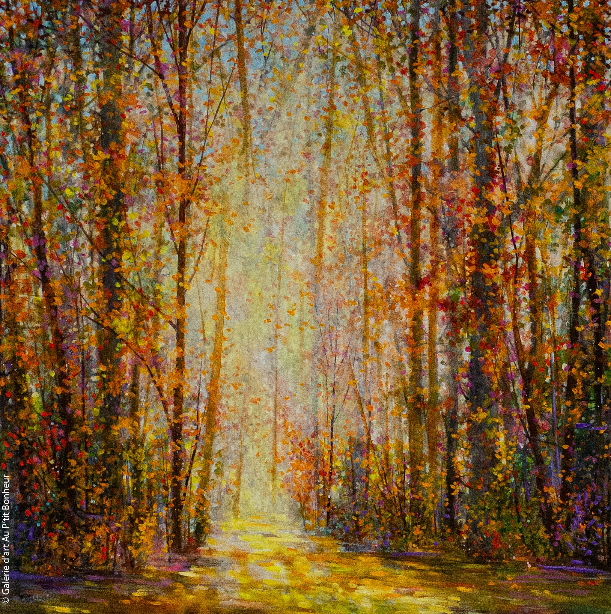 Bev Rodin | Forest Light Series: Classic