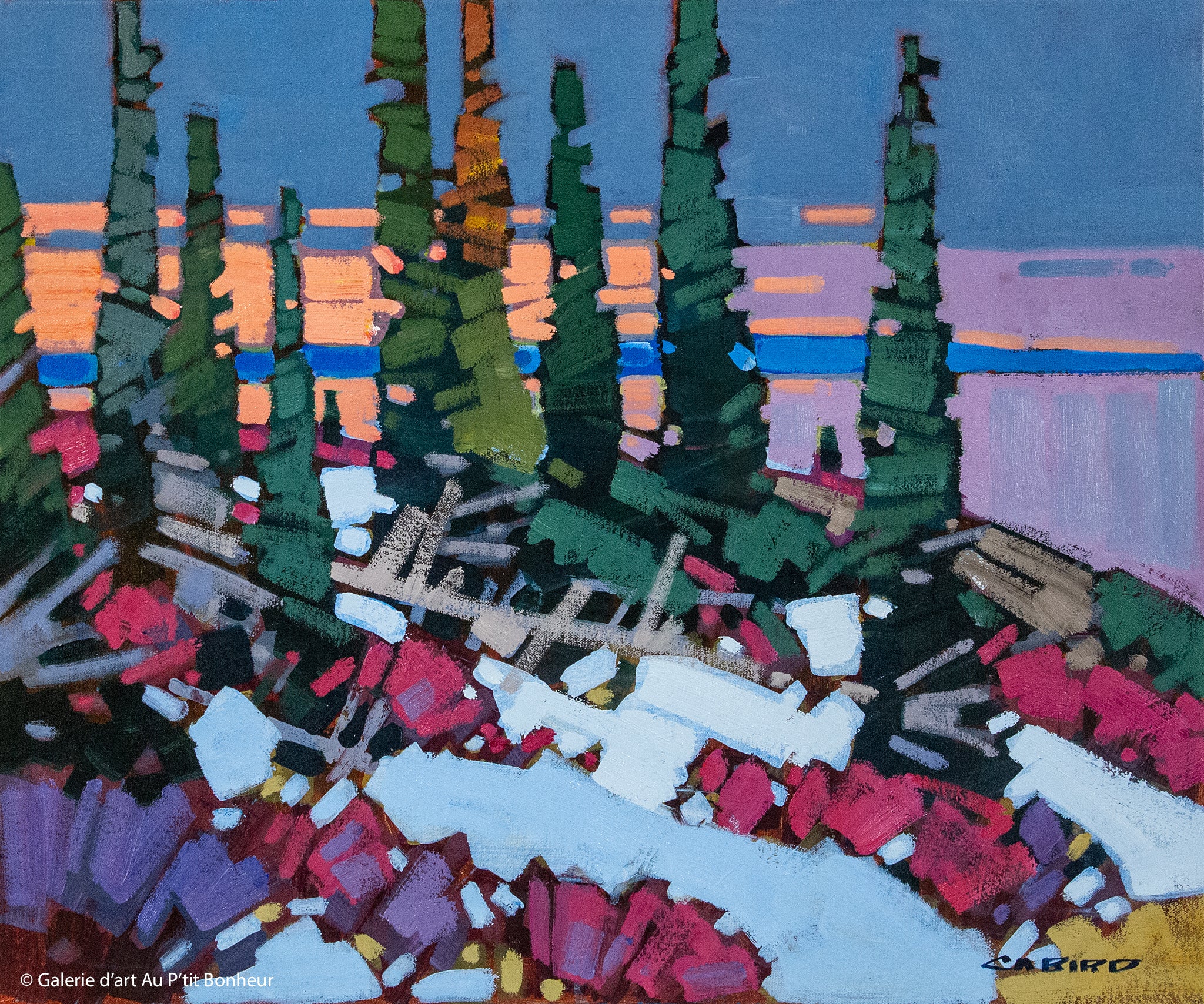 Cameron Bird | Winter Evening