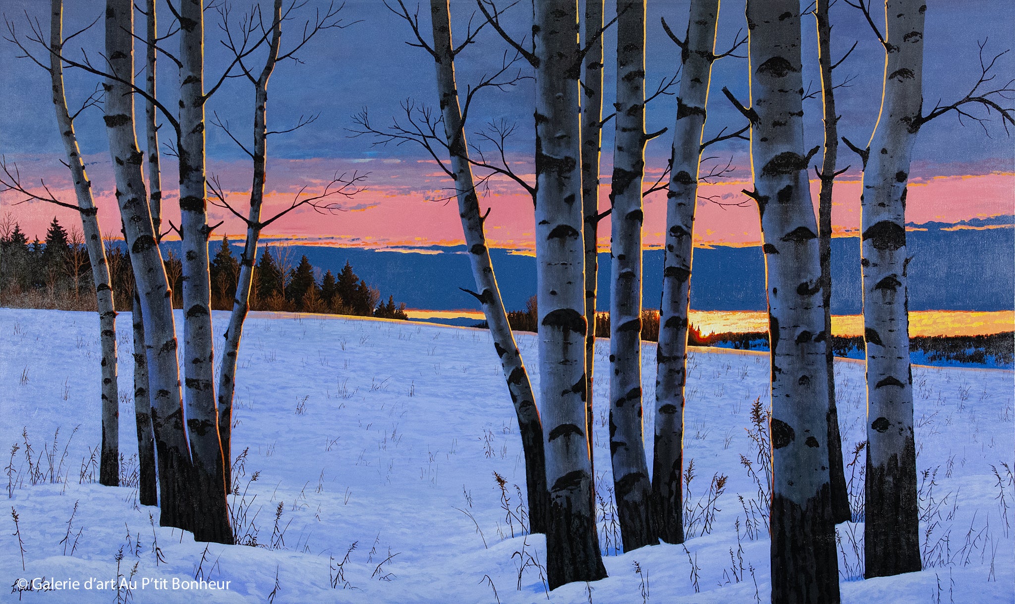 Cyril Cox | Aspen Sunset