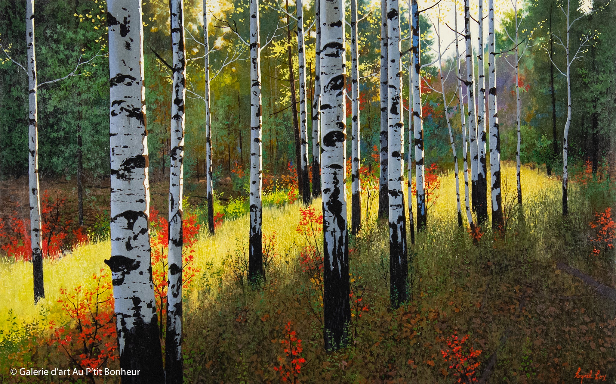 Cyril Cox | Autumn Birches