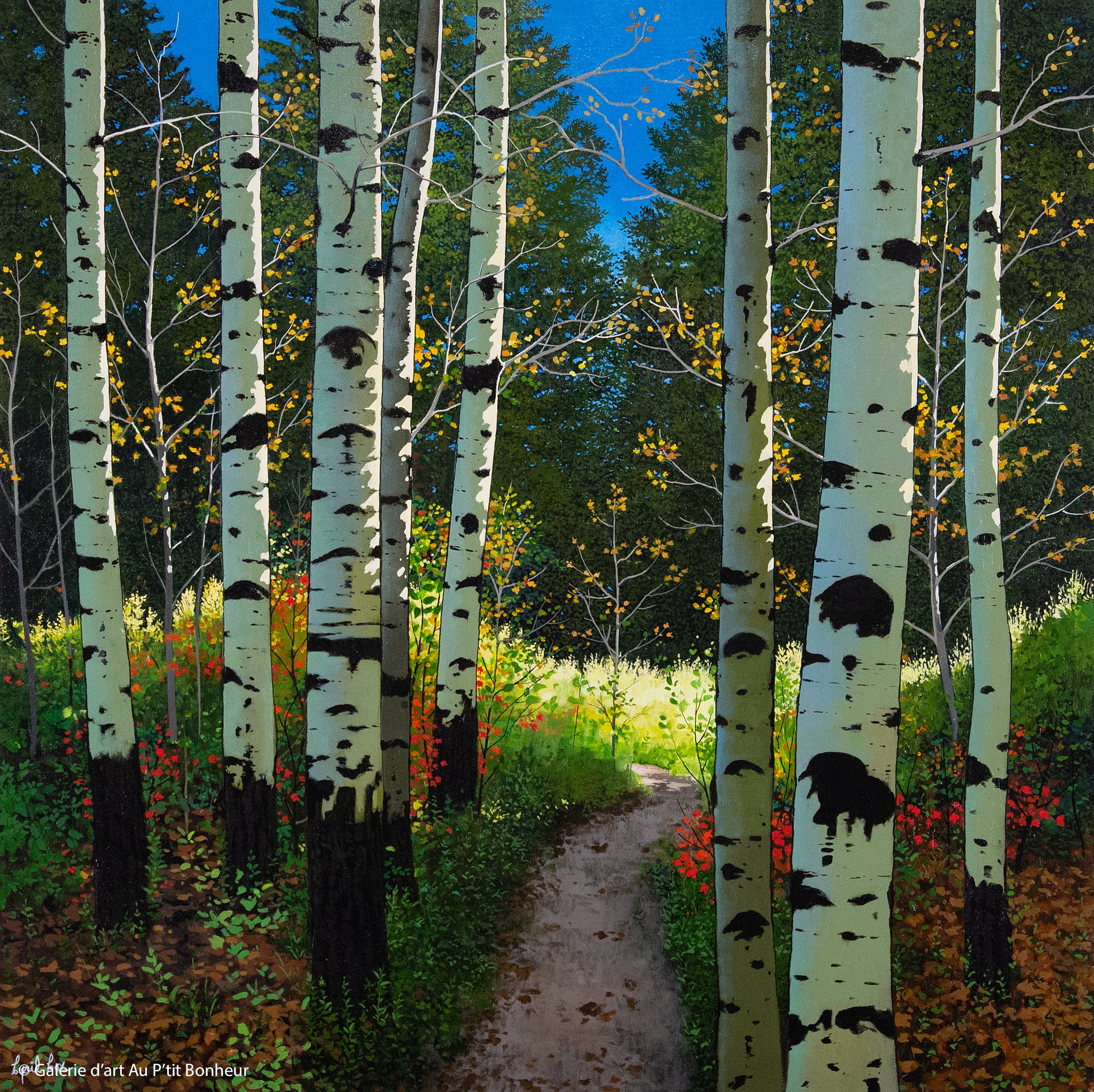 Cyril Cox | Through the Aspens