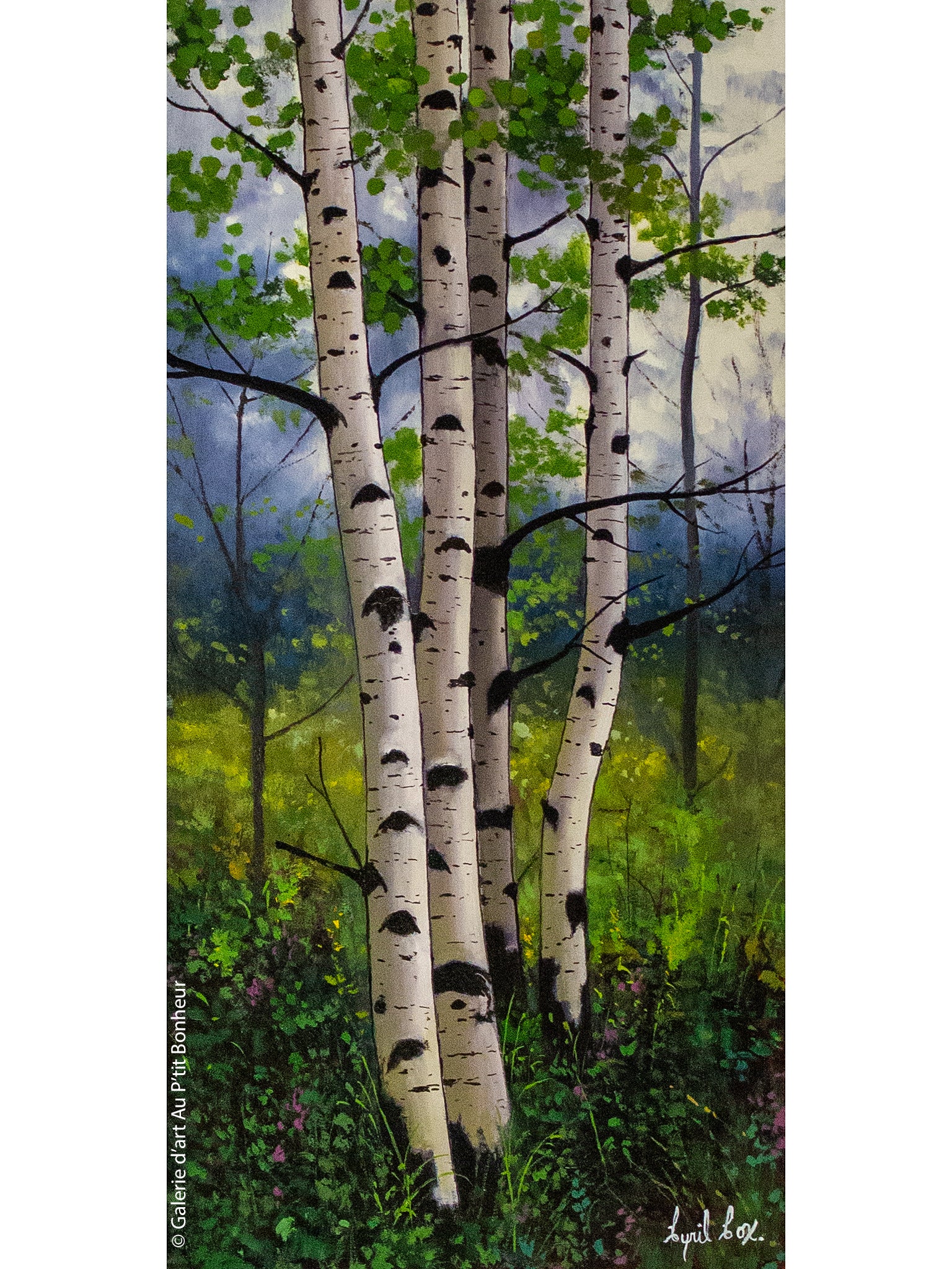 Cyril Cox | Hazy Day Aspens I