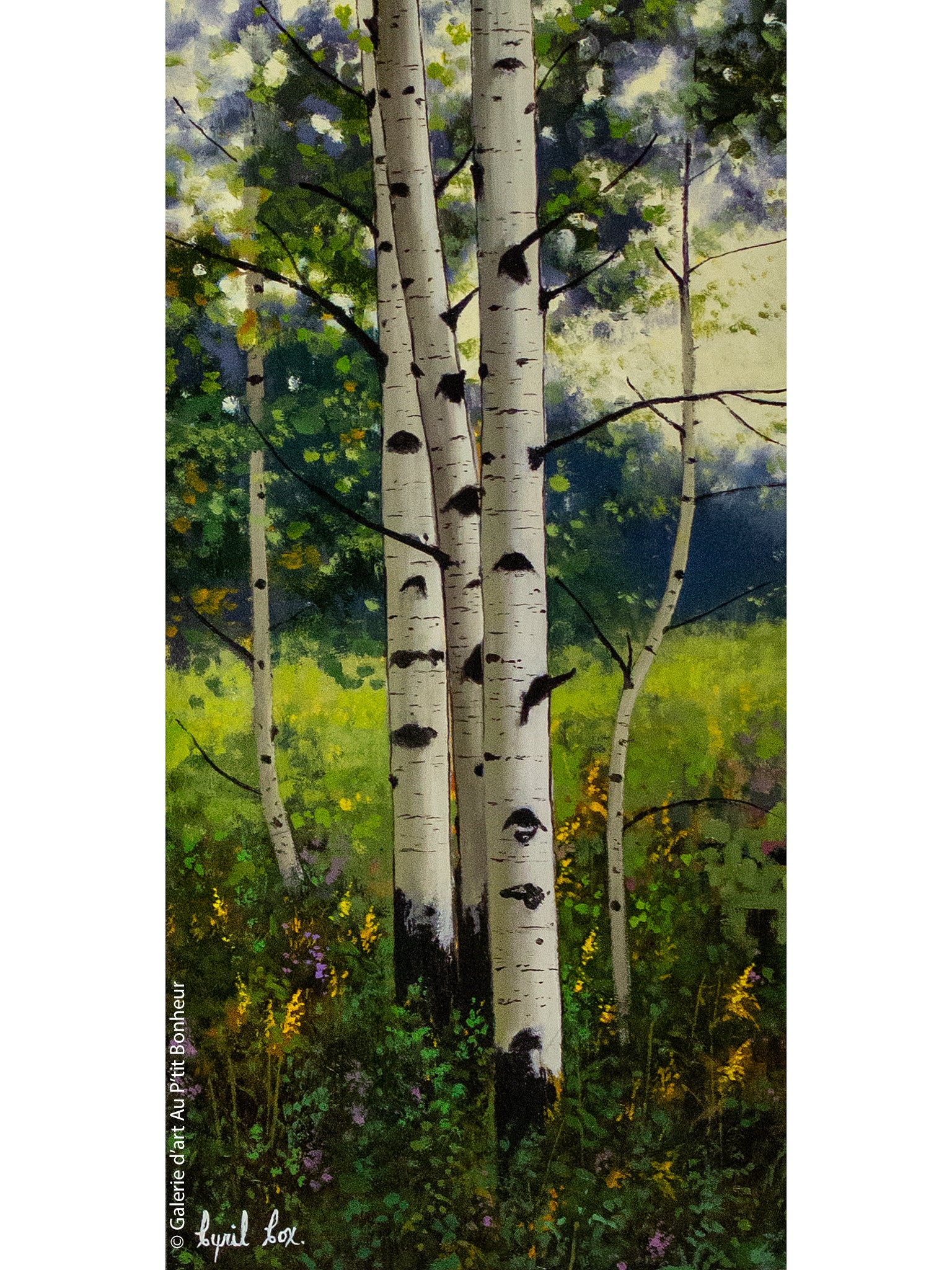 Cyril Cox | Hazy Day Aspens II