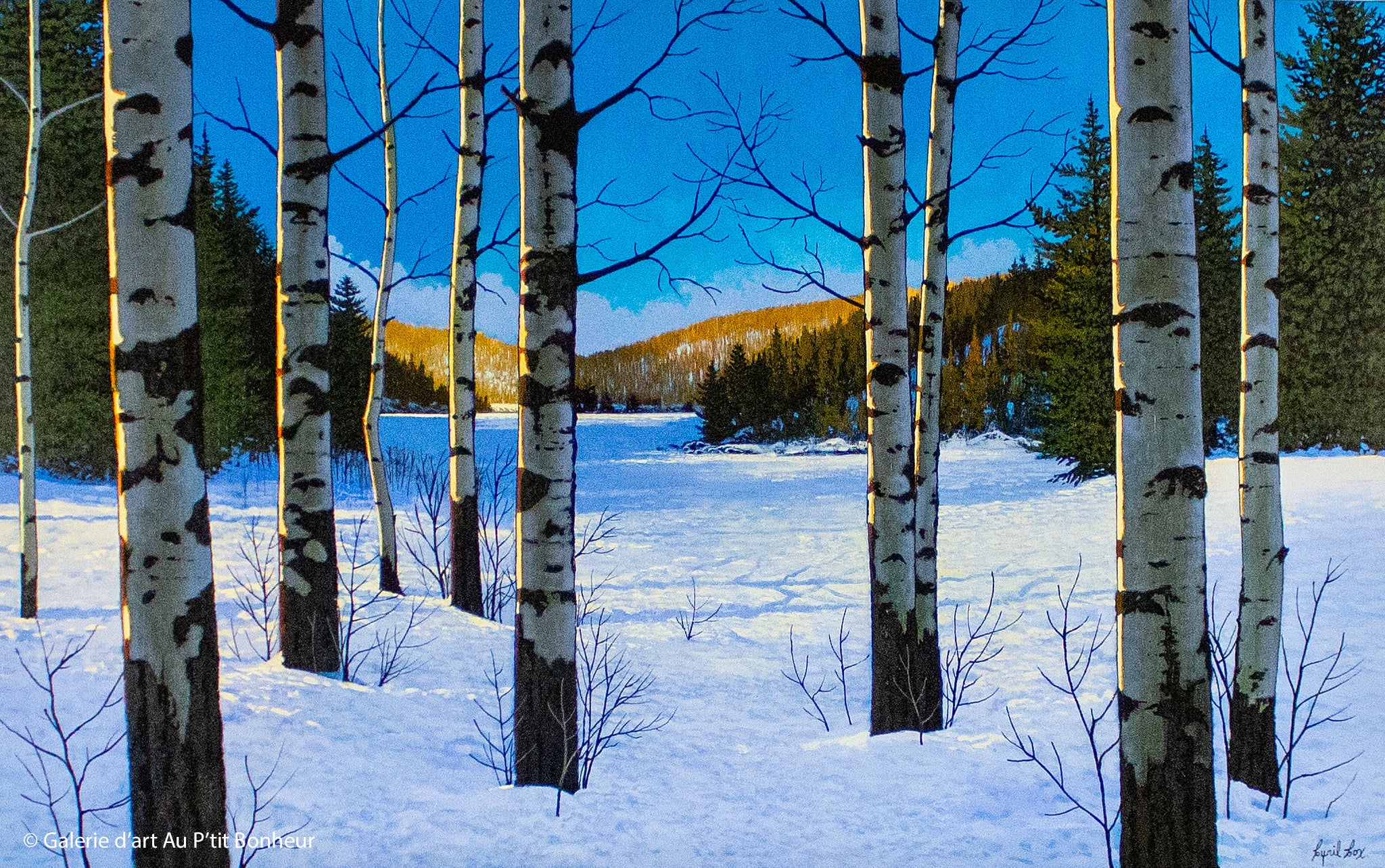 Cyril Cox | Winter Lake Aspens