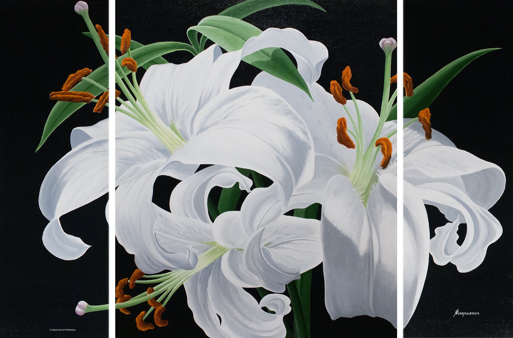 Dennis Magnusson | Oriental Lilies (2014)